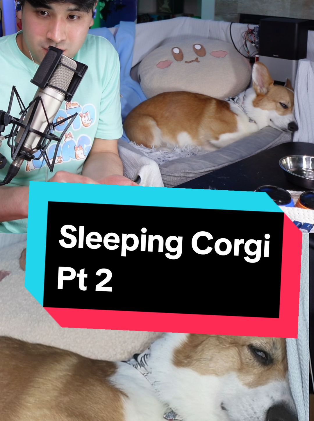 @Protocorg | Twitch Streamer