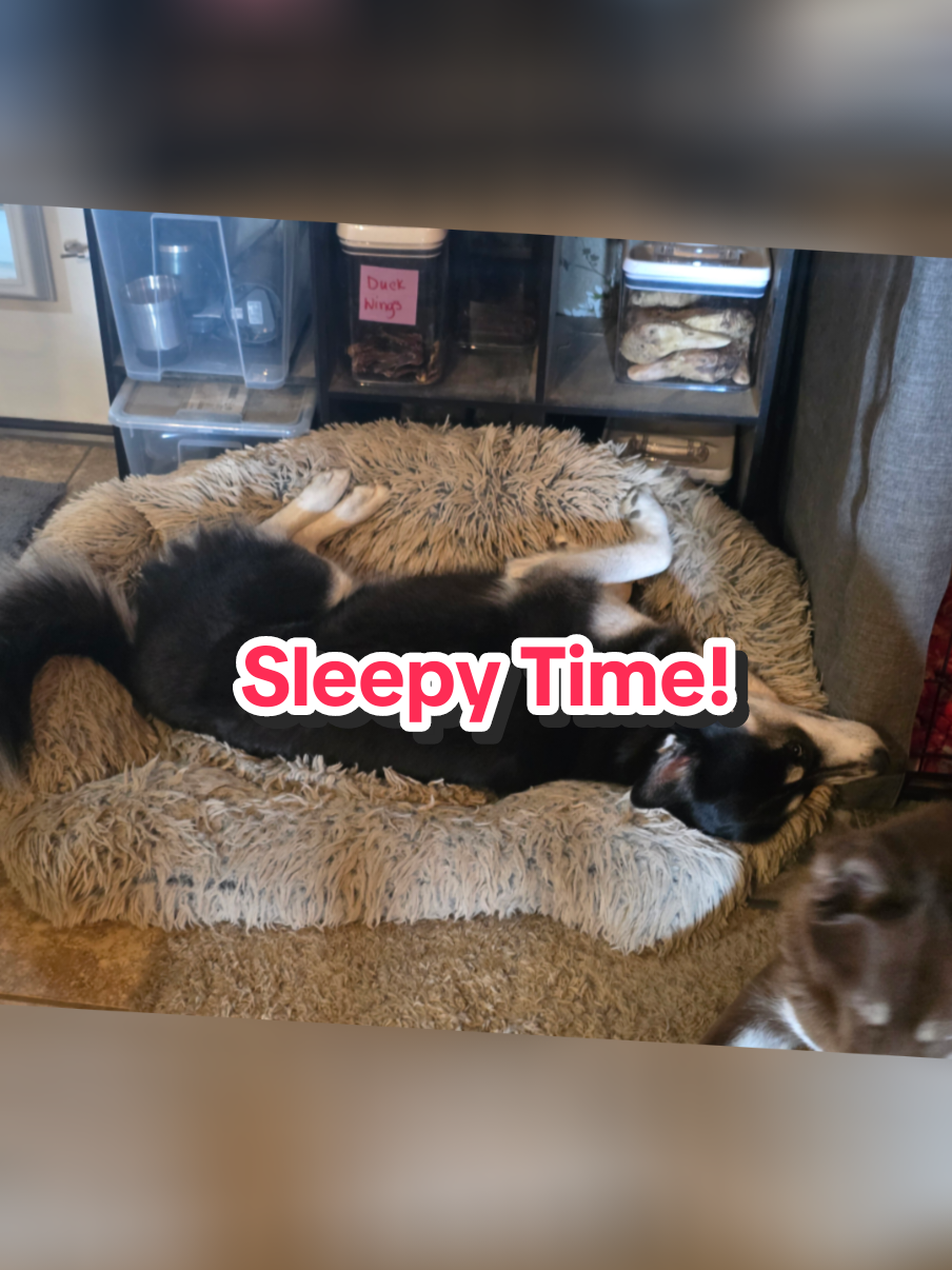 @The Dog Mom