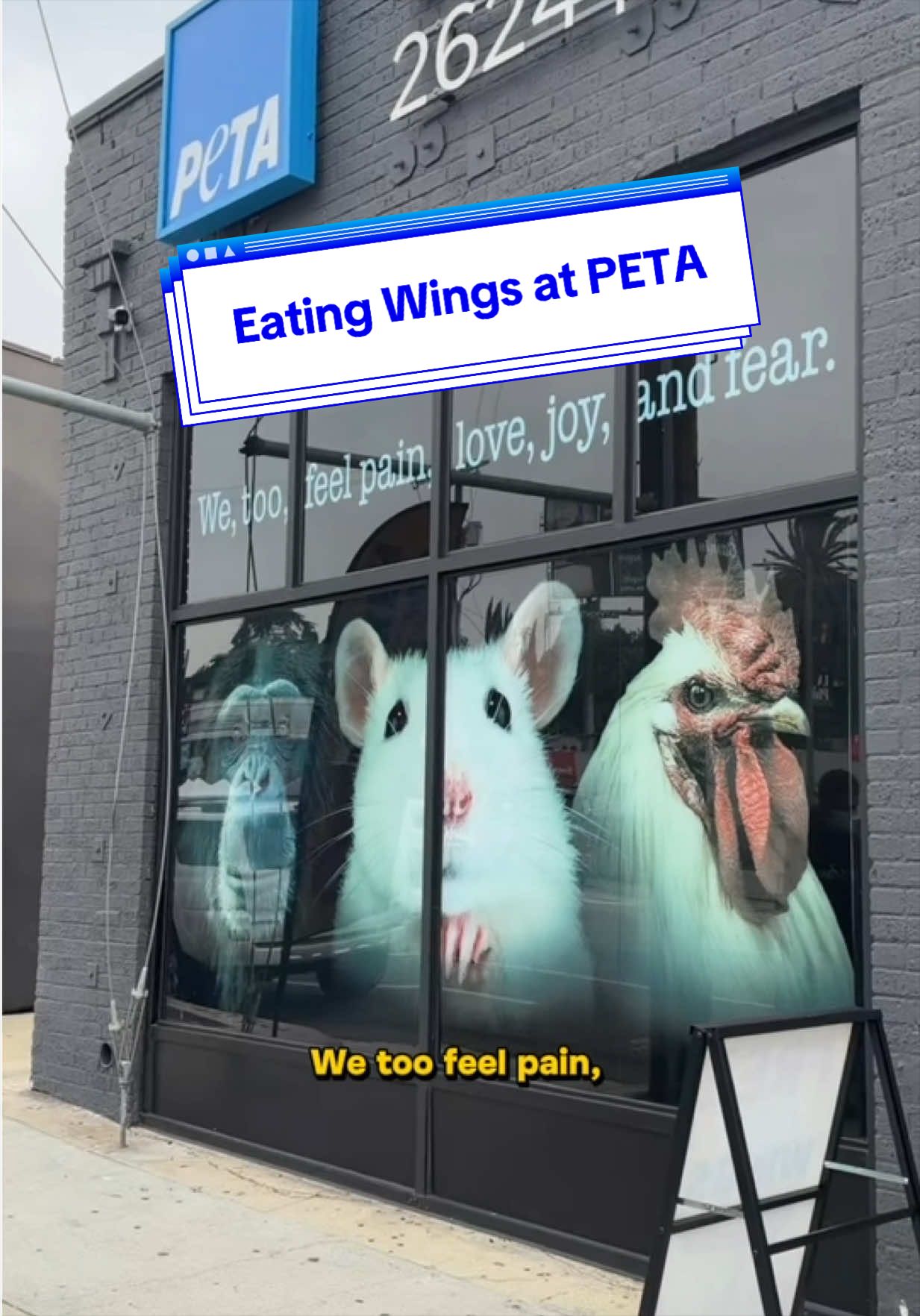 @Hungry4Munchies