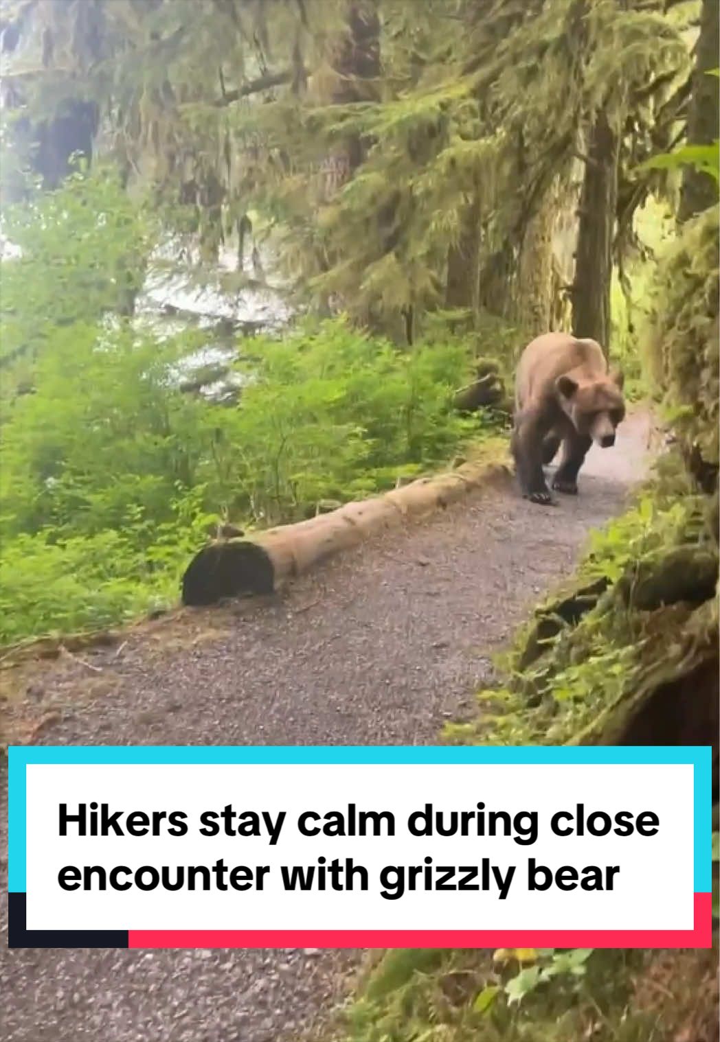 @cbsnews