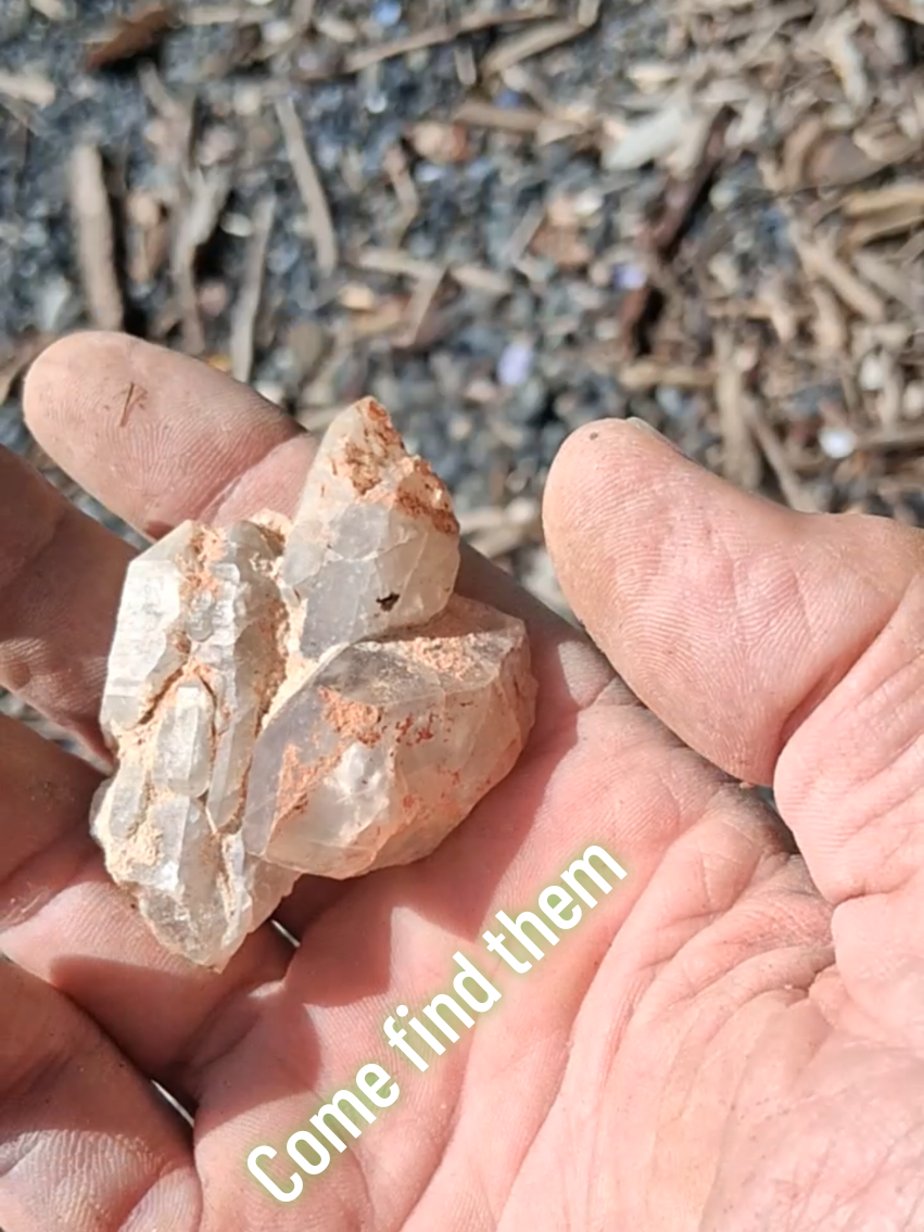 @Quartz Cowboy 💎⛏️