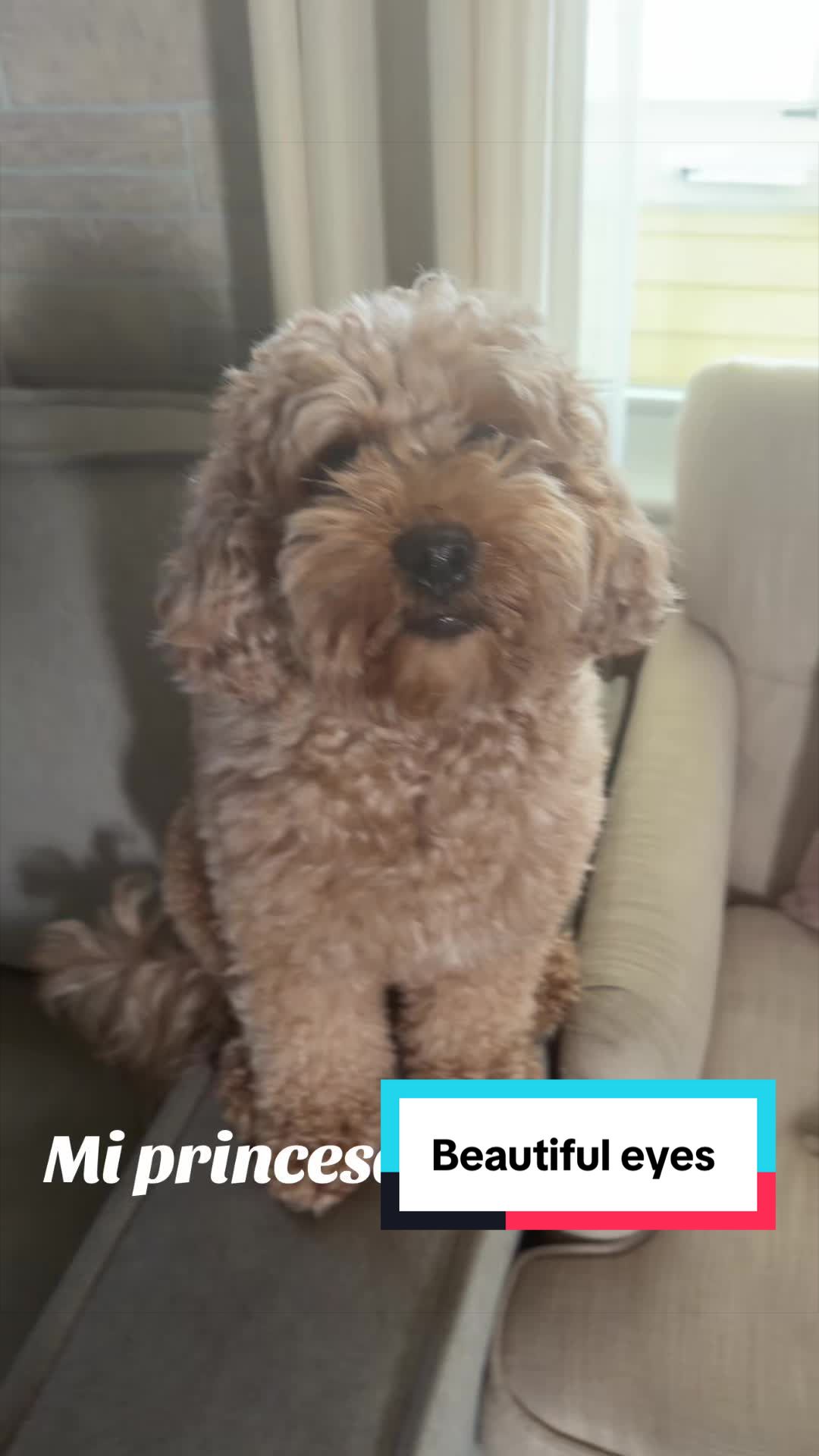 @PattyLove BabyNova 🐾🎀🥰