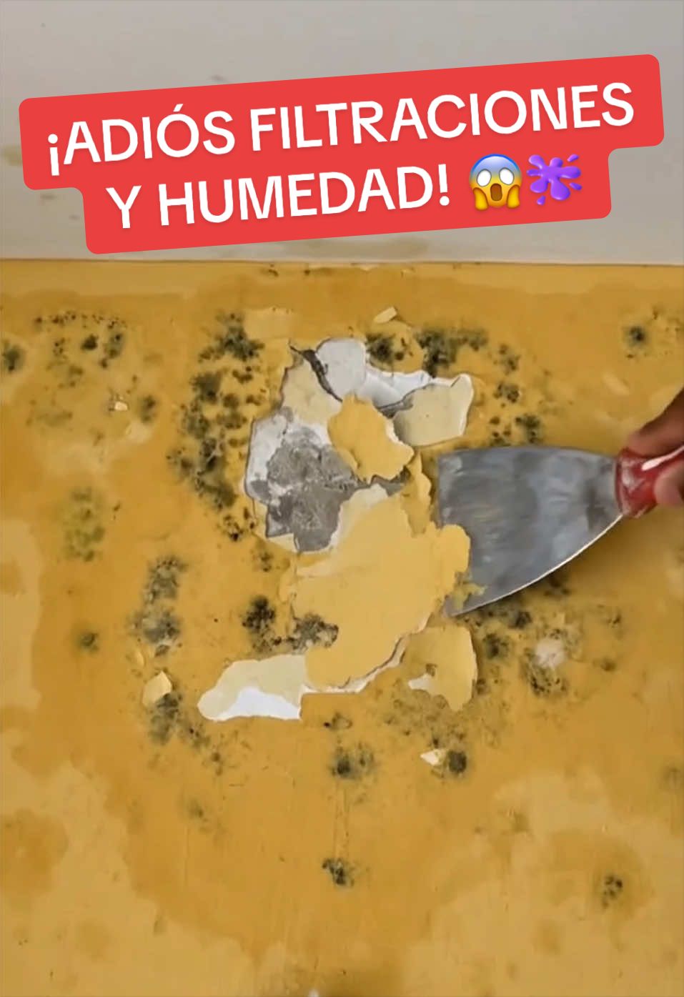 @Consejos para tu casa y más