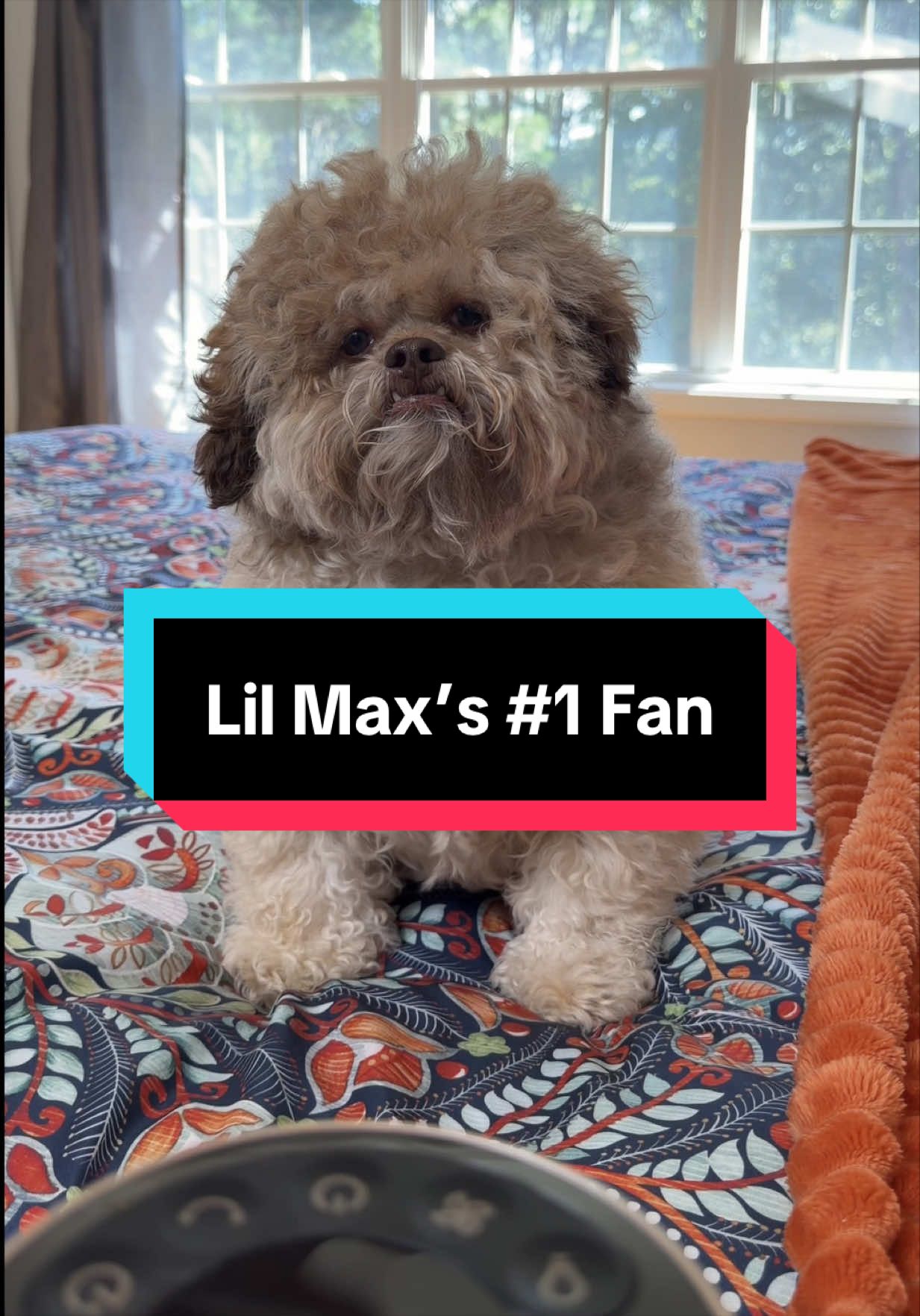 @Lil&rsquo; Max
