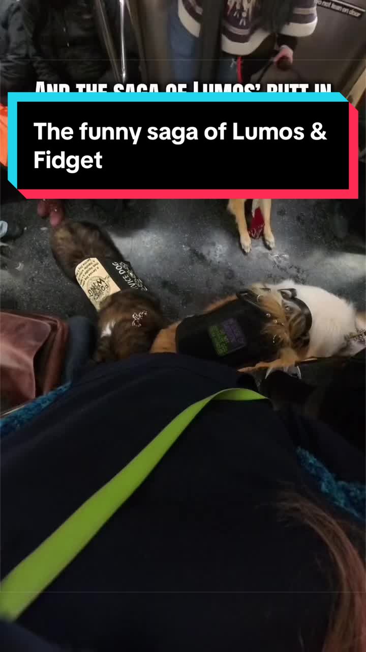 @Dakota & Pups