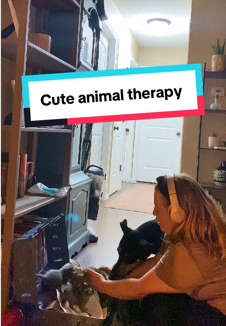 @Catmom92