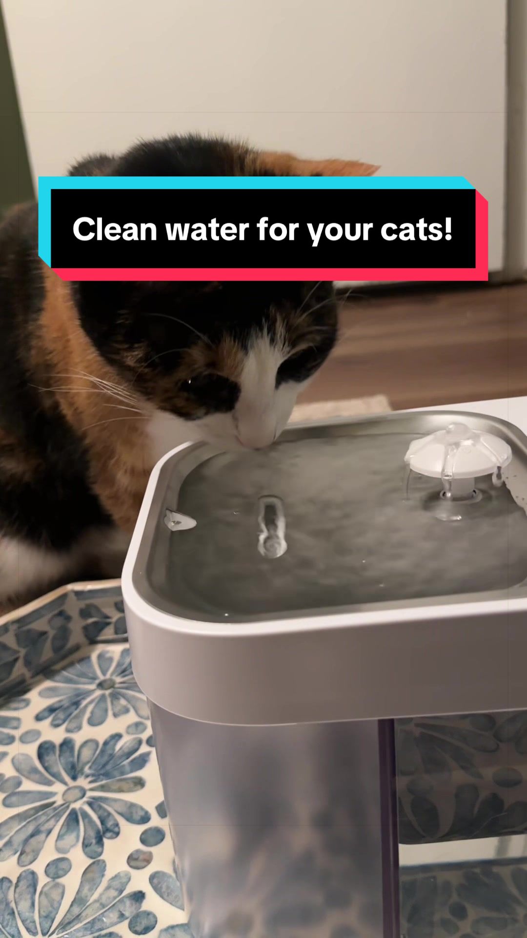 @meloncreamcat
