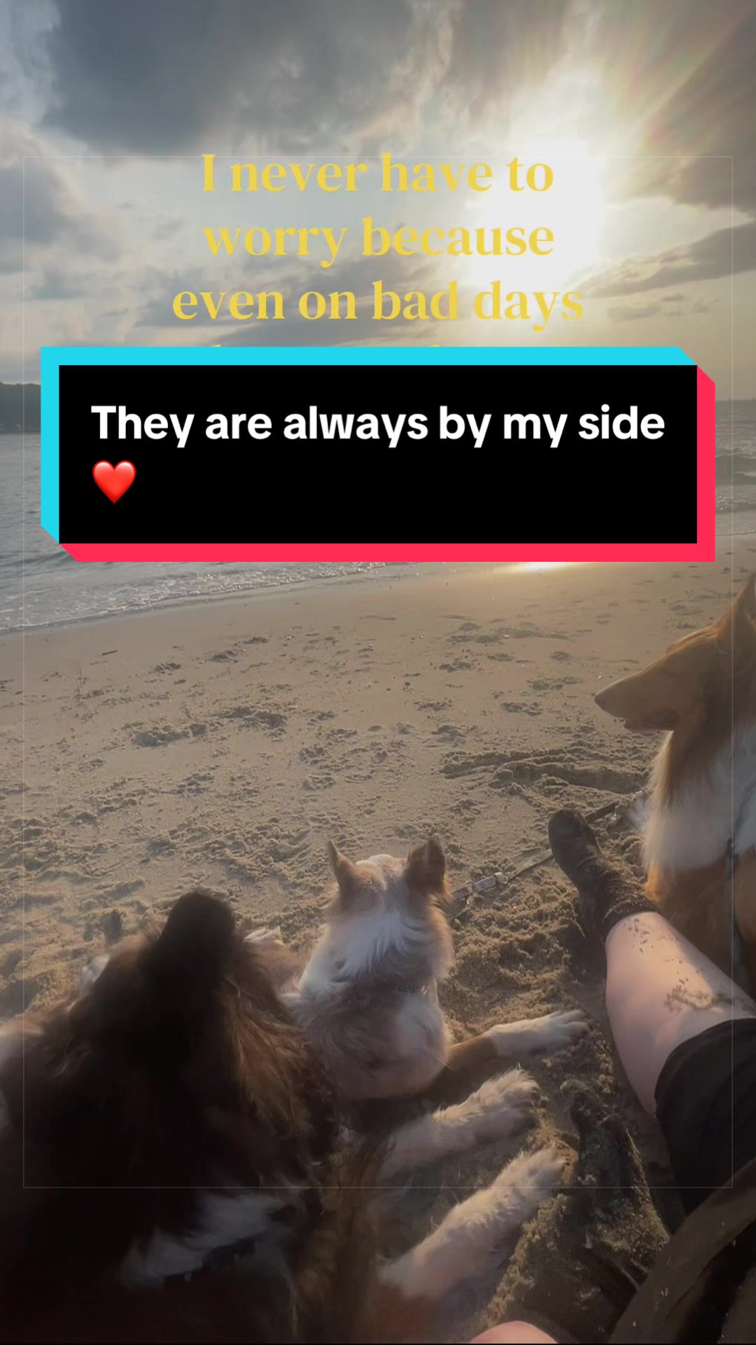 @Dakota & Pups