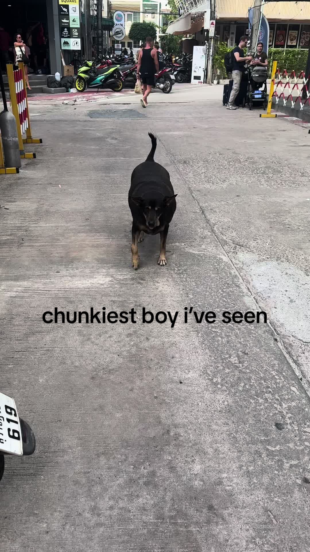 @adk__adventures