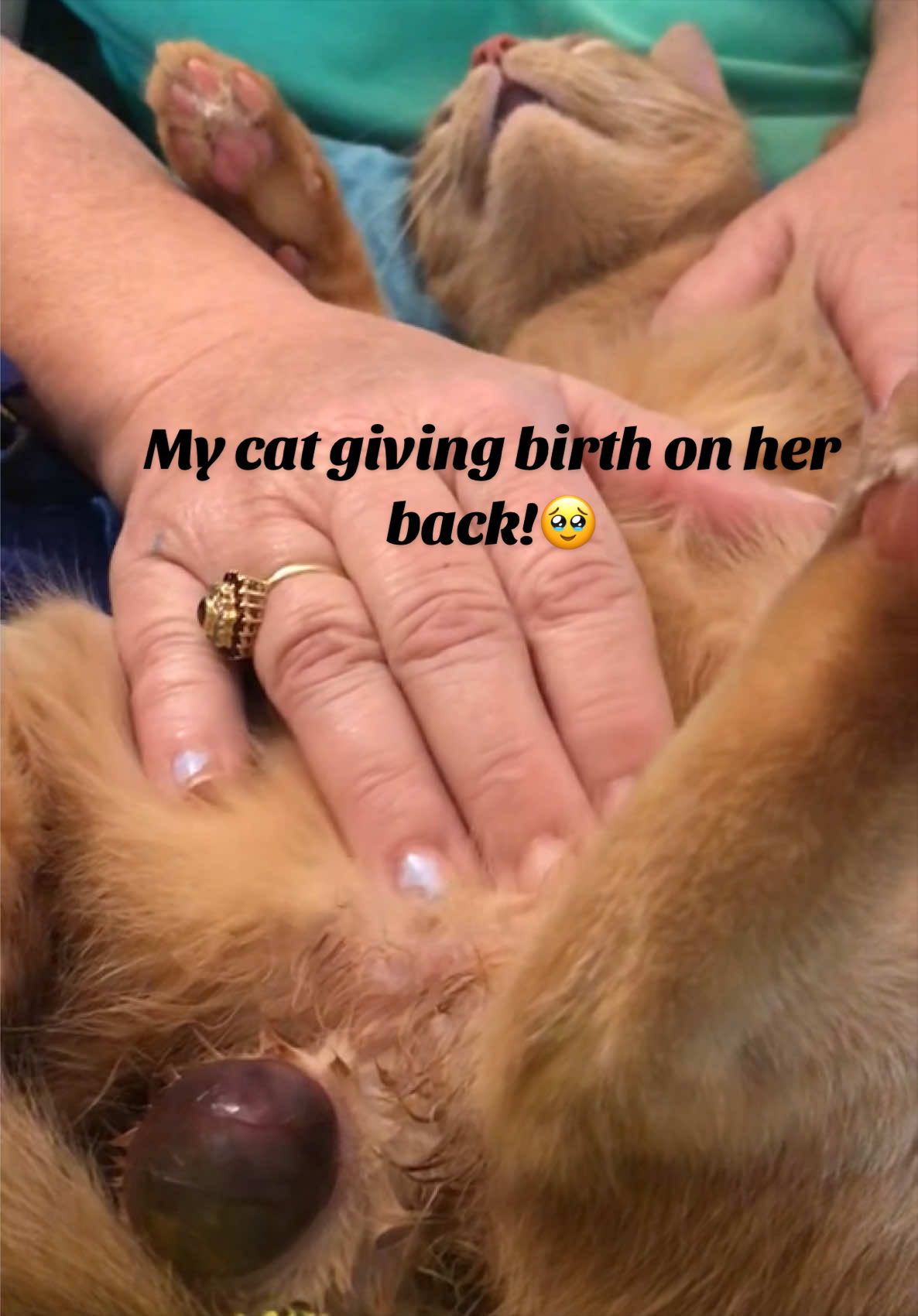 @easttngirl95