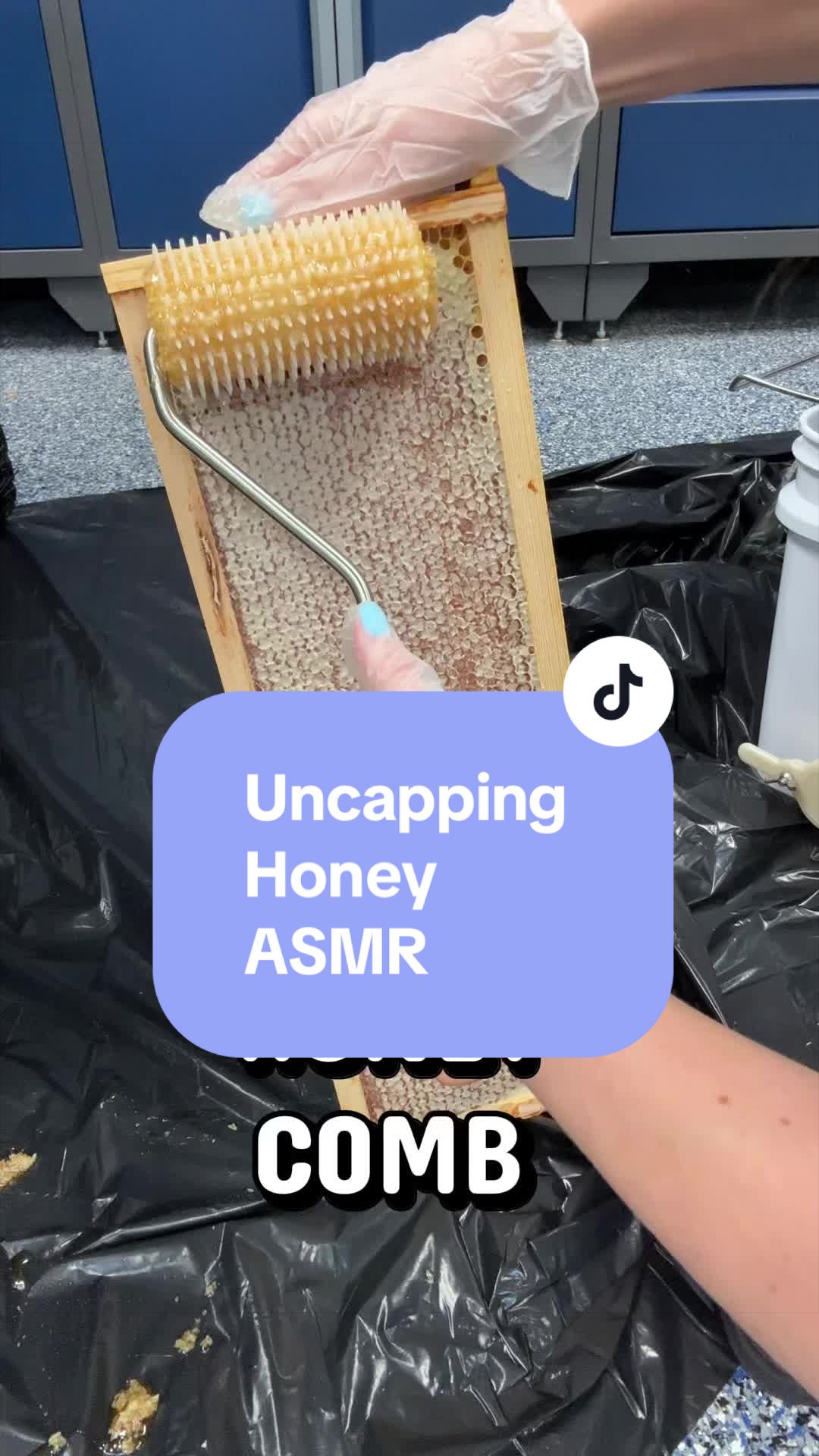 @homewithlogan