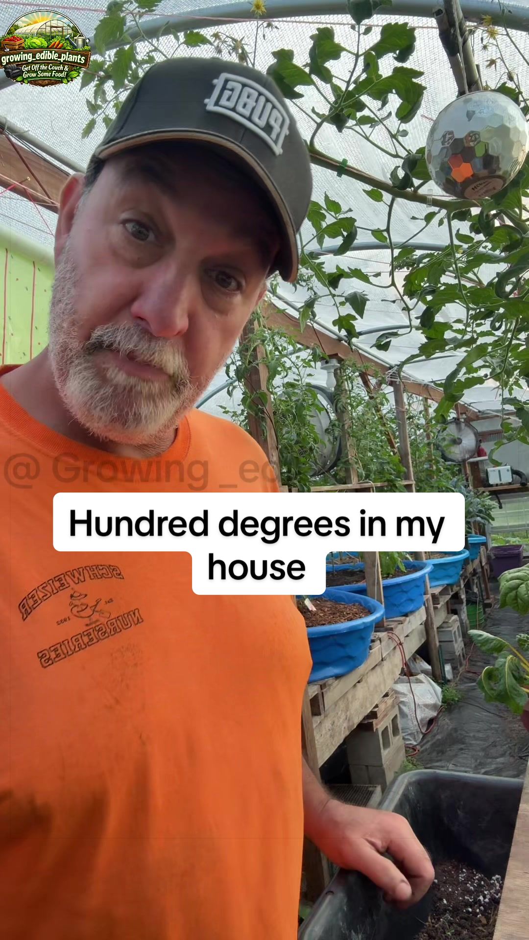 @GROWING_EDIBLE_PLANTS