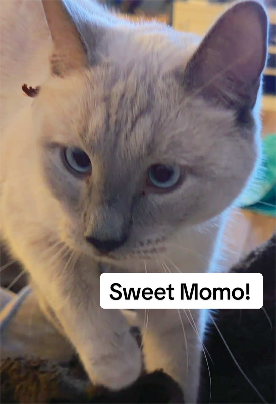 @BigMommastime