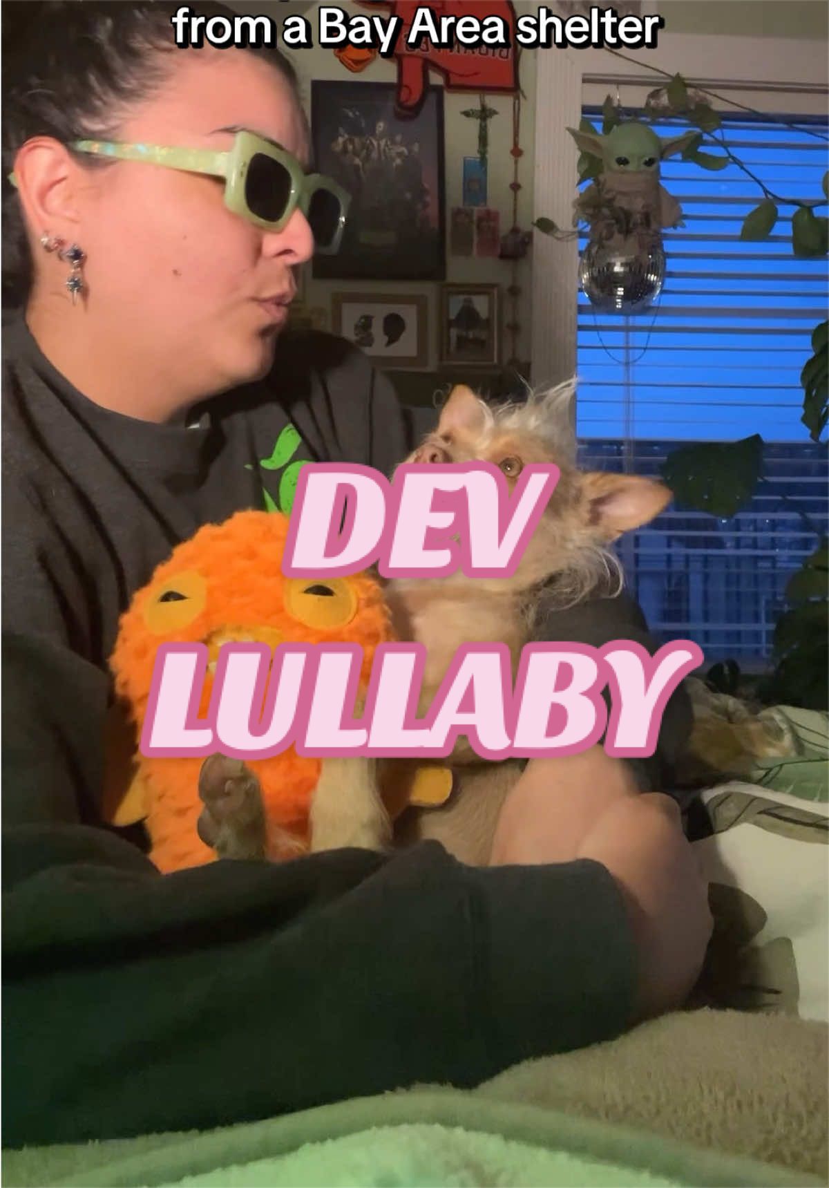 @What’s New Sunny-Doo?