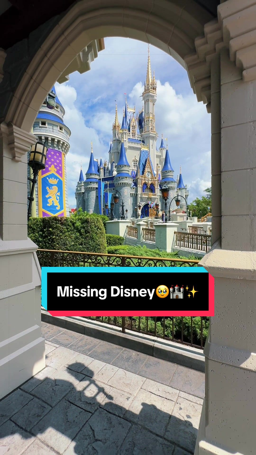@Explore Orlando🌴🎢
