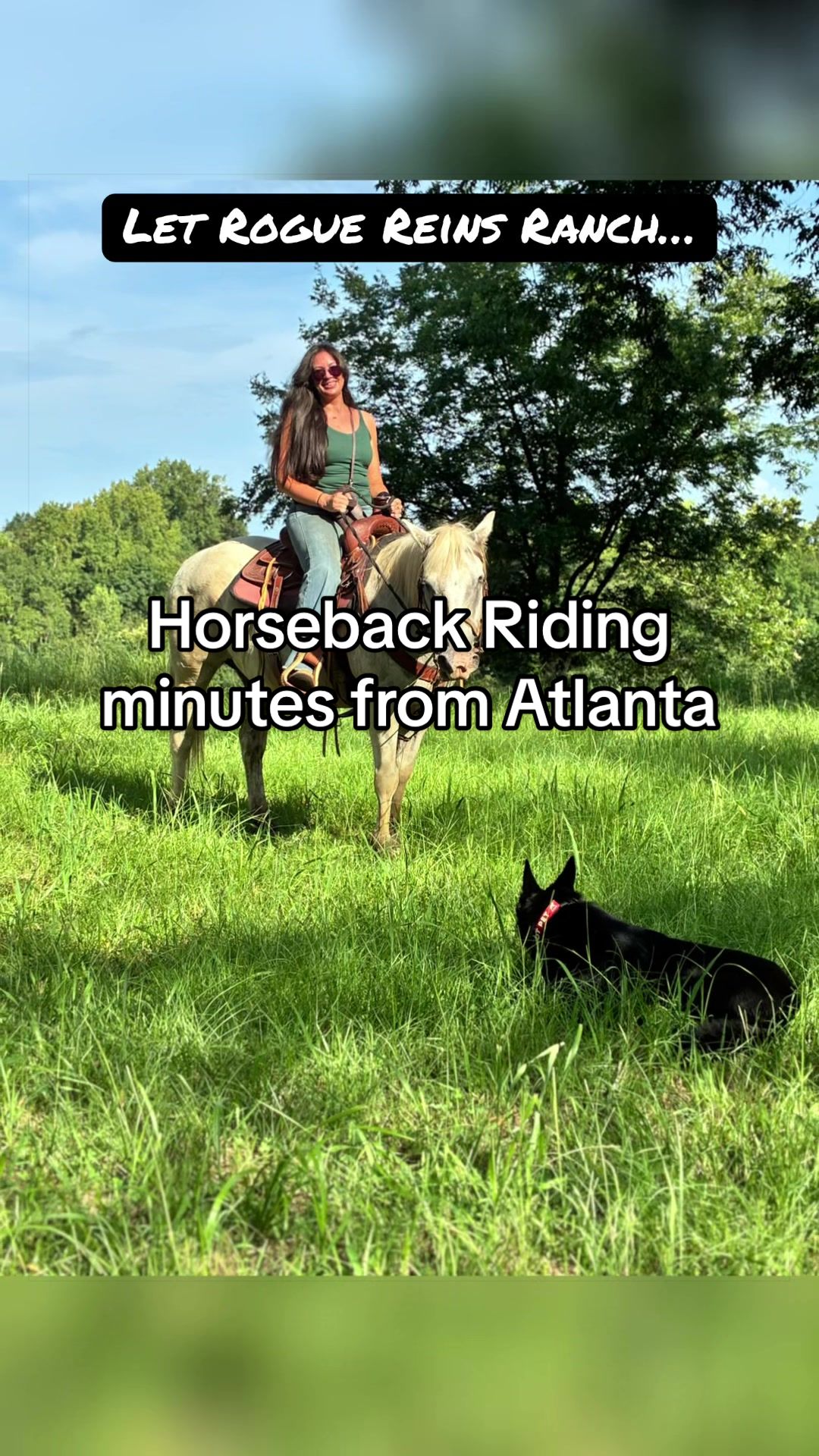 @Rogue Reins