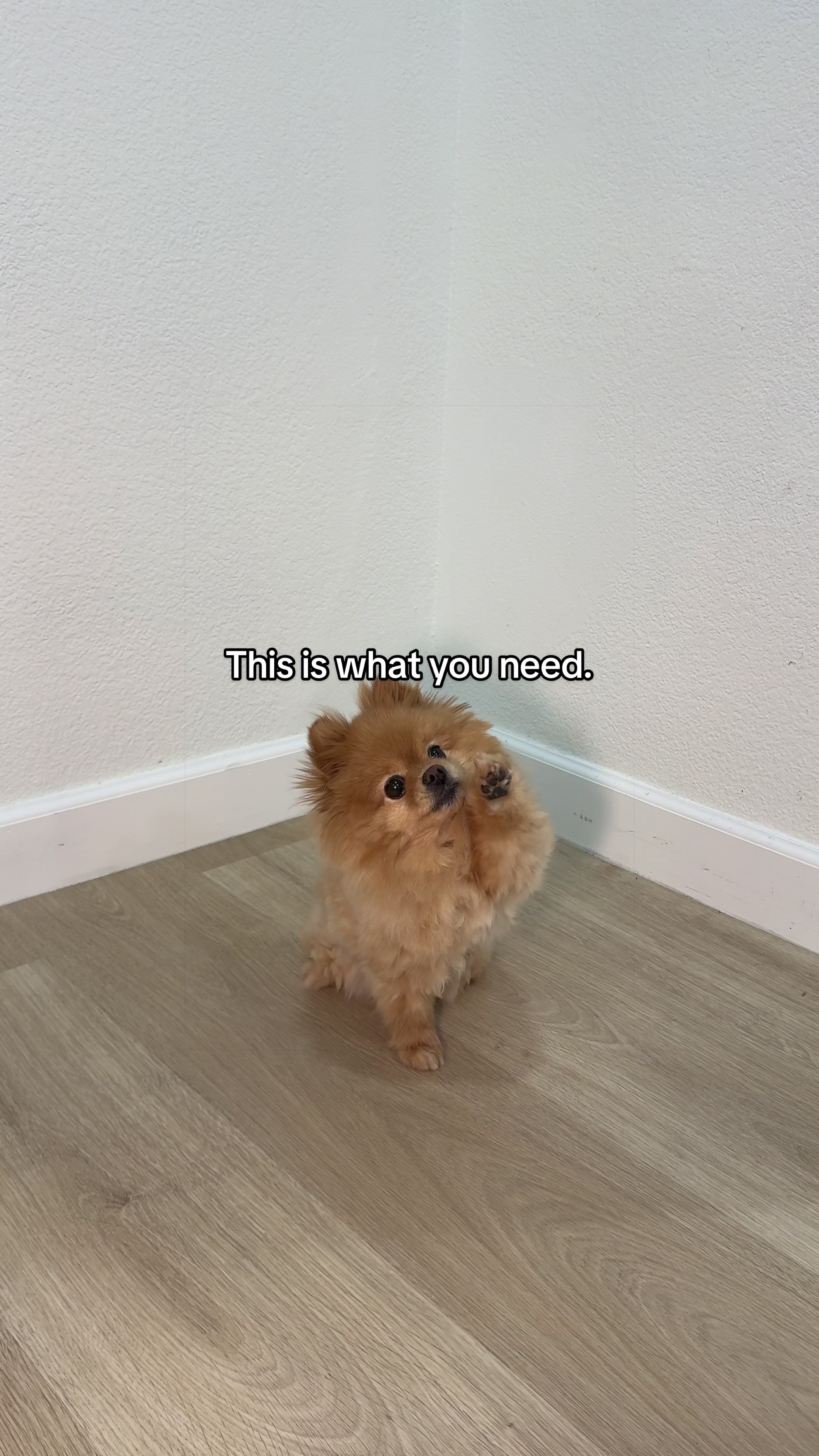 @Thao :|: BoyMomTok