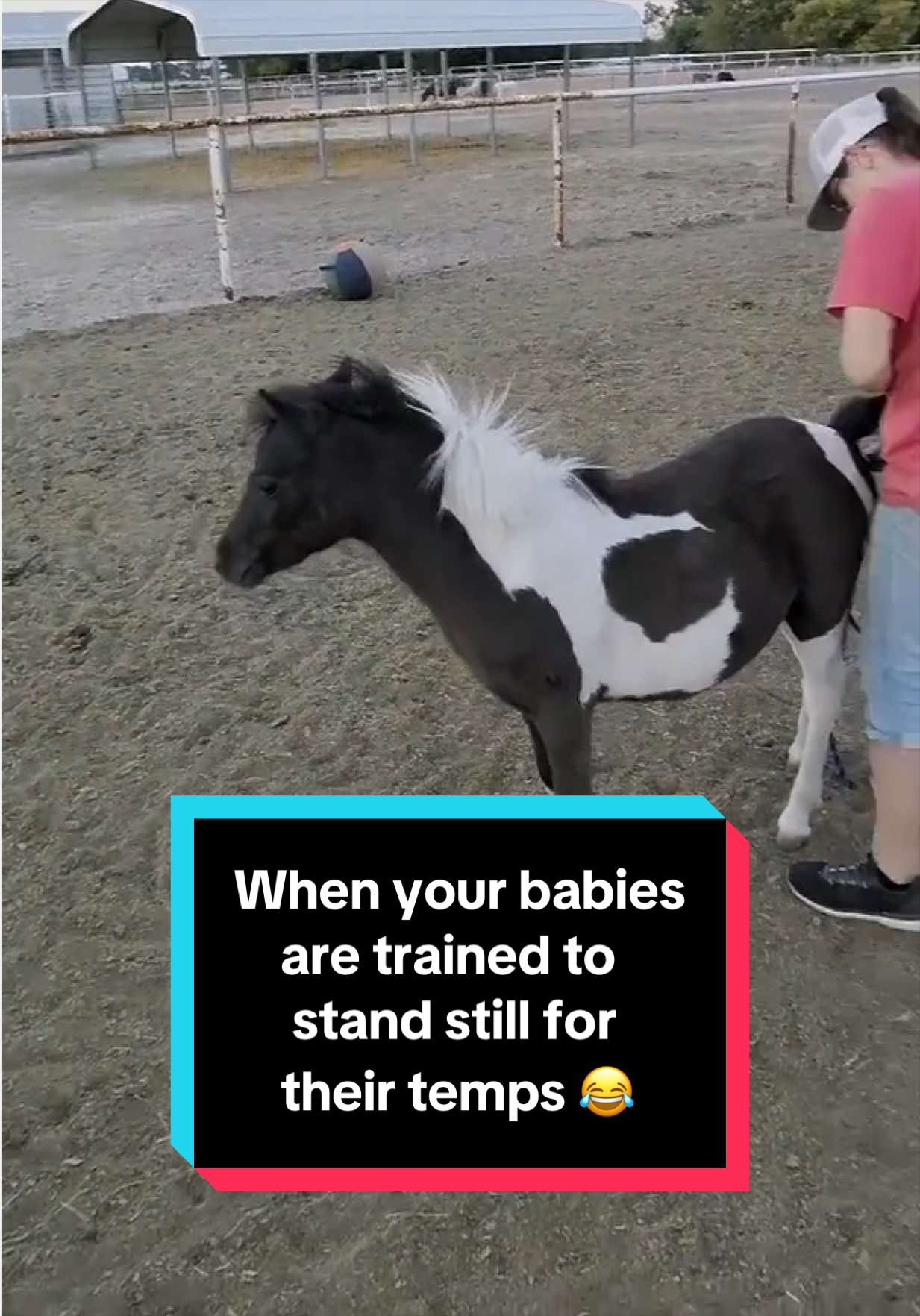 @Dr.Nicole-VetMed