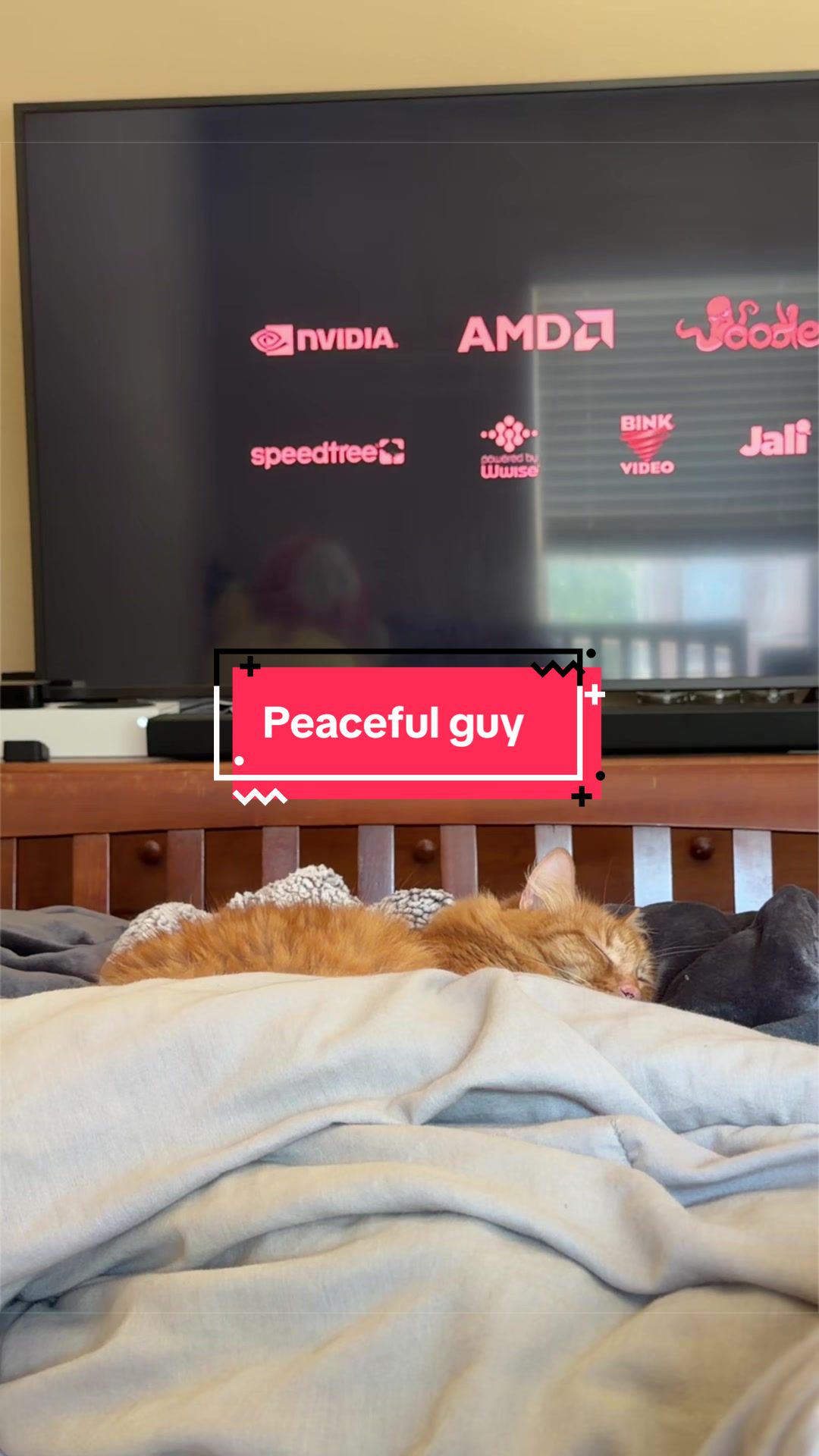 @Alexander Cat