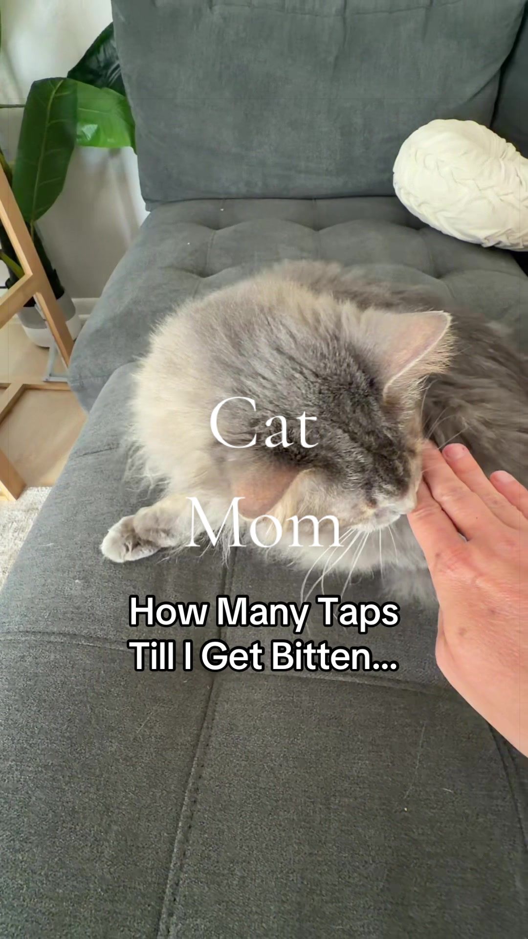 @Momingthisshiz