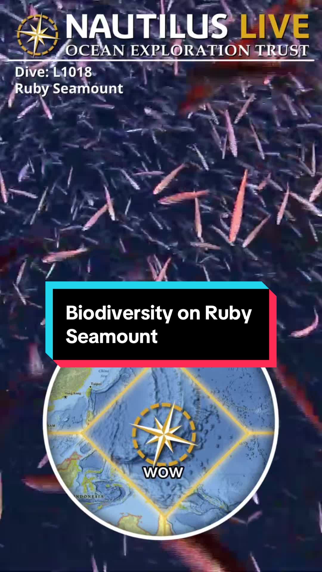 @Ocean Exploration Trust