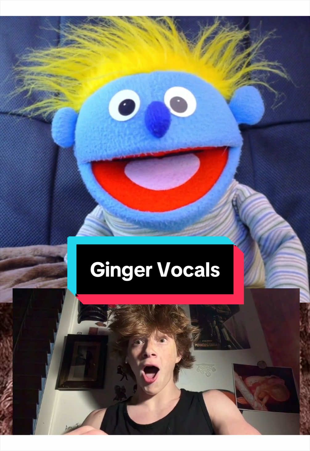 @PeterPrankster