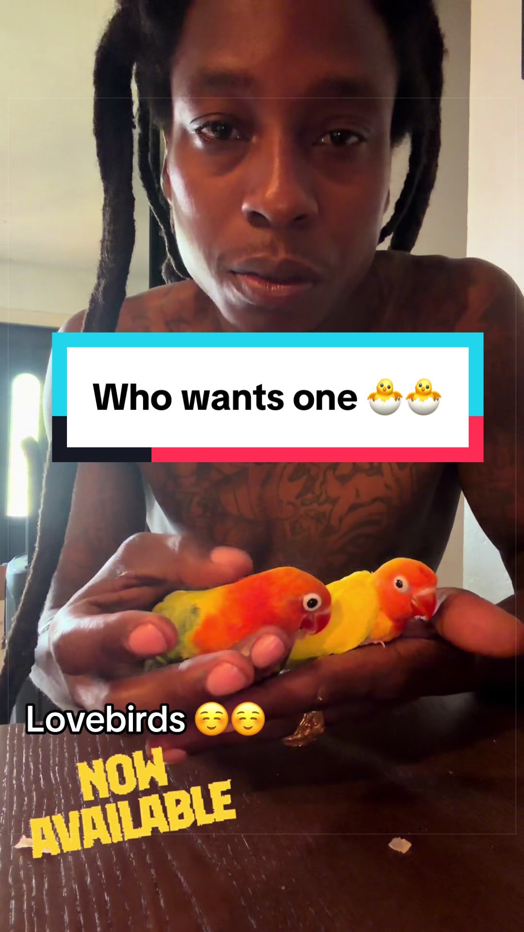 @PalacePickney_Blackcowboy🤠