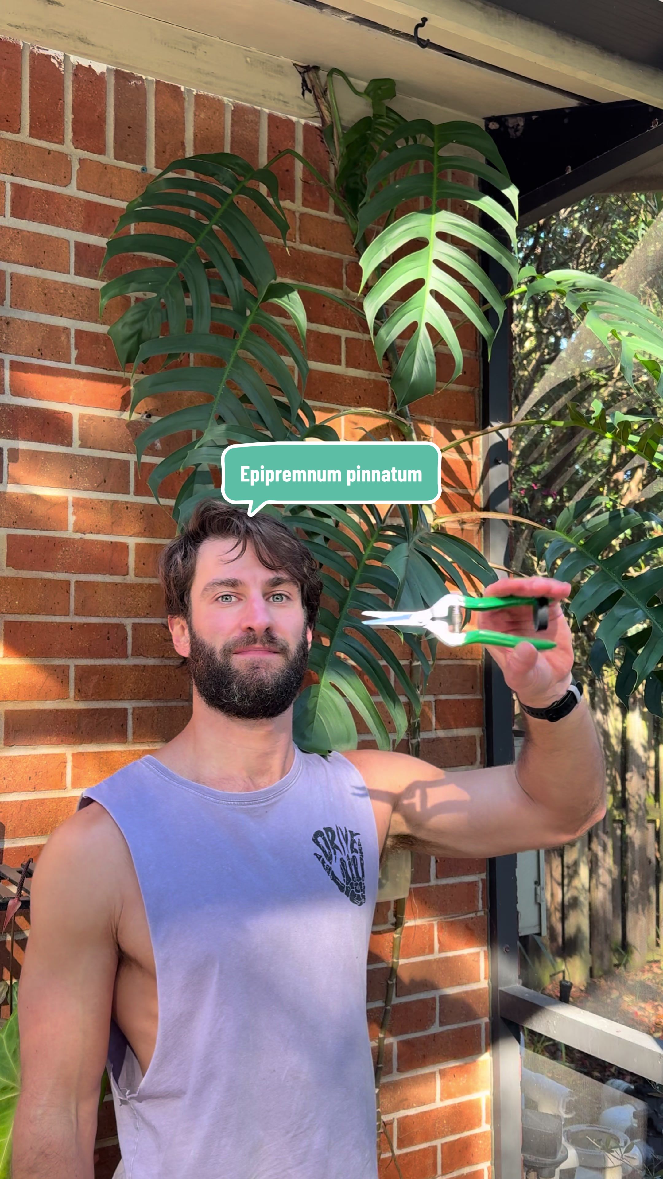 @fitplantguy