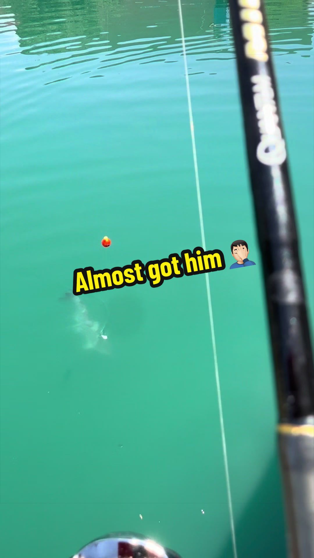 @Luu Nguyen Fishing