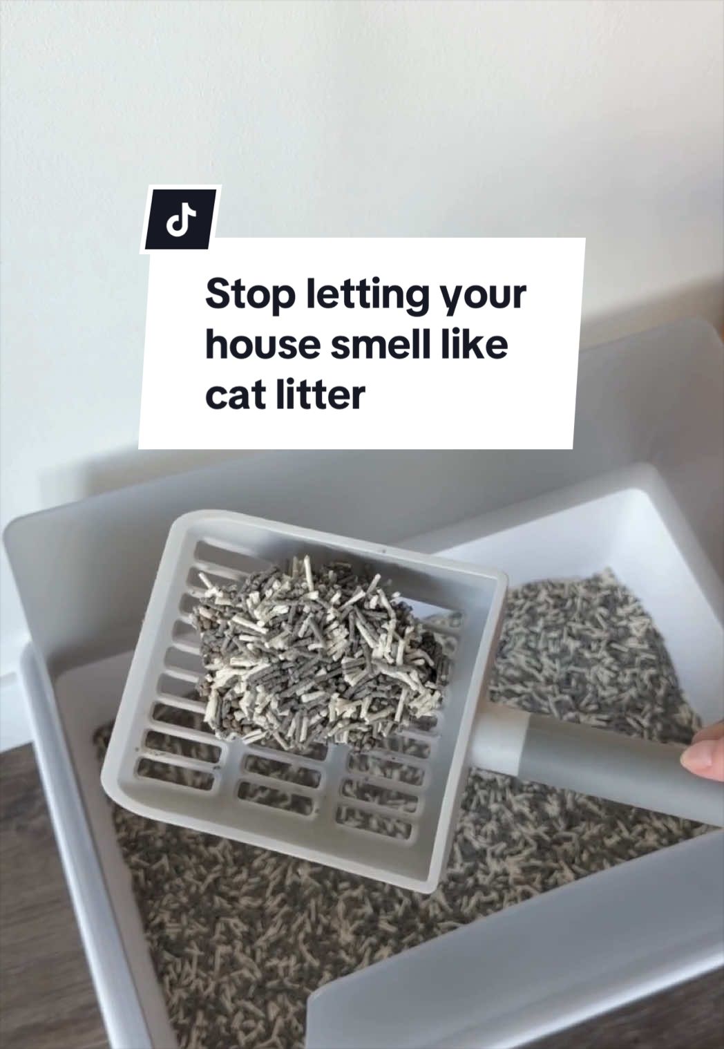 @Tuft & Paw