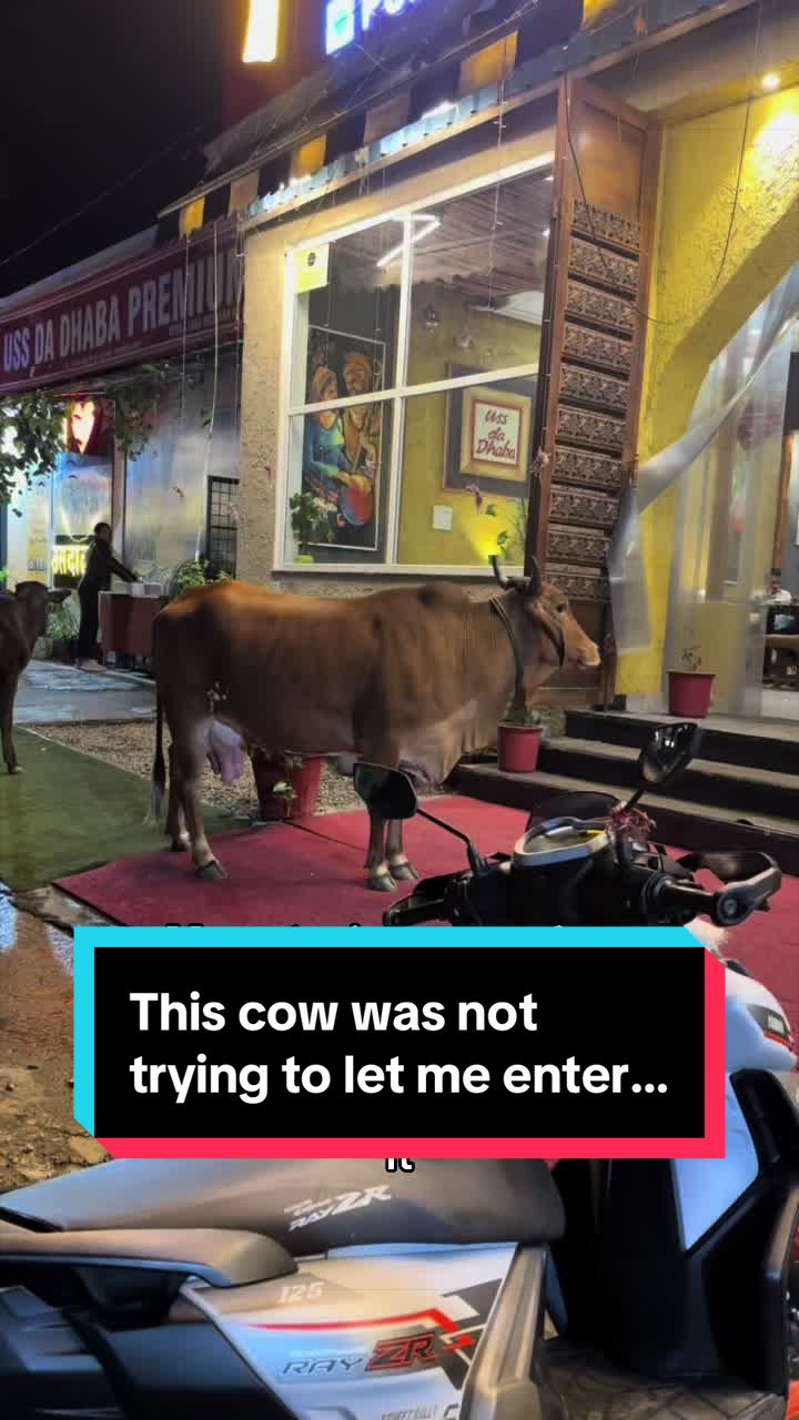 @🇺🇸 Smita Shares 🇮🇳