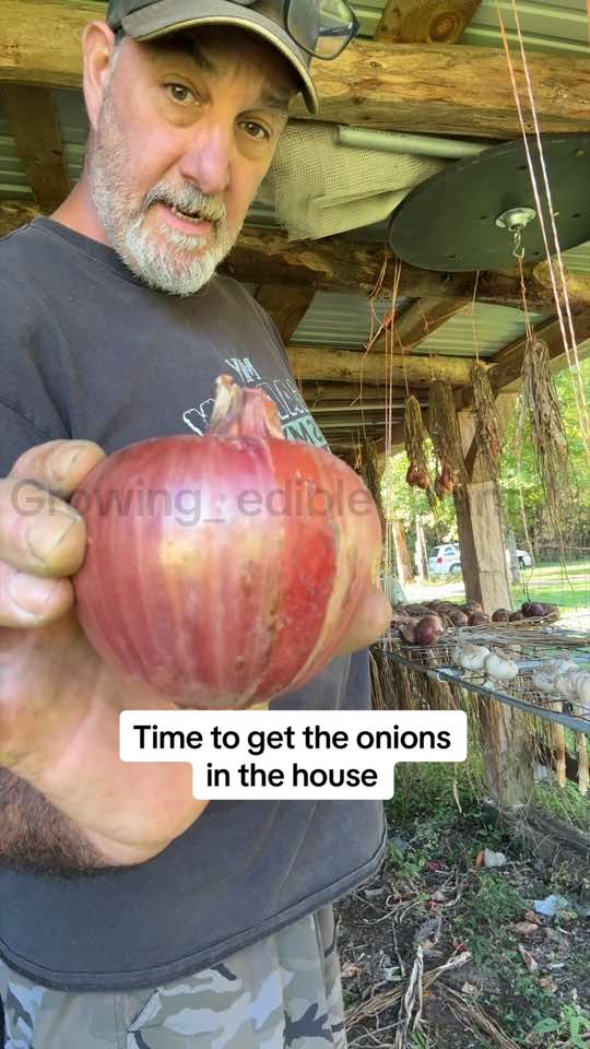@GROWING_EDIBLE_PLANTS