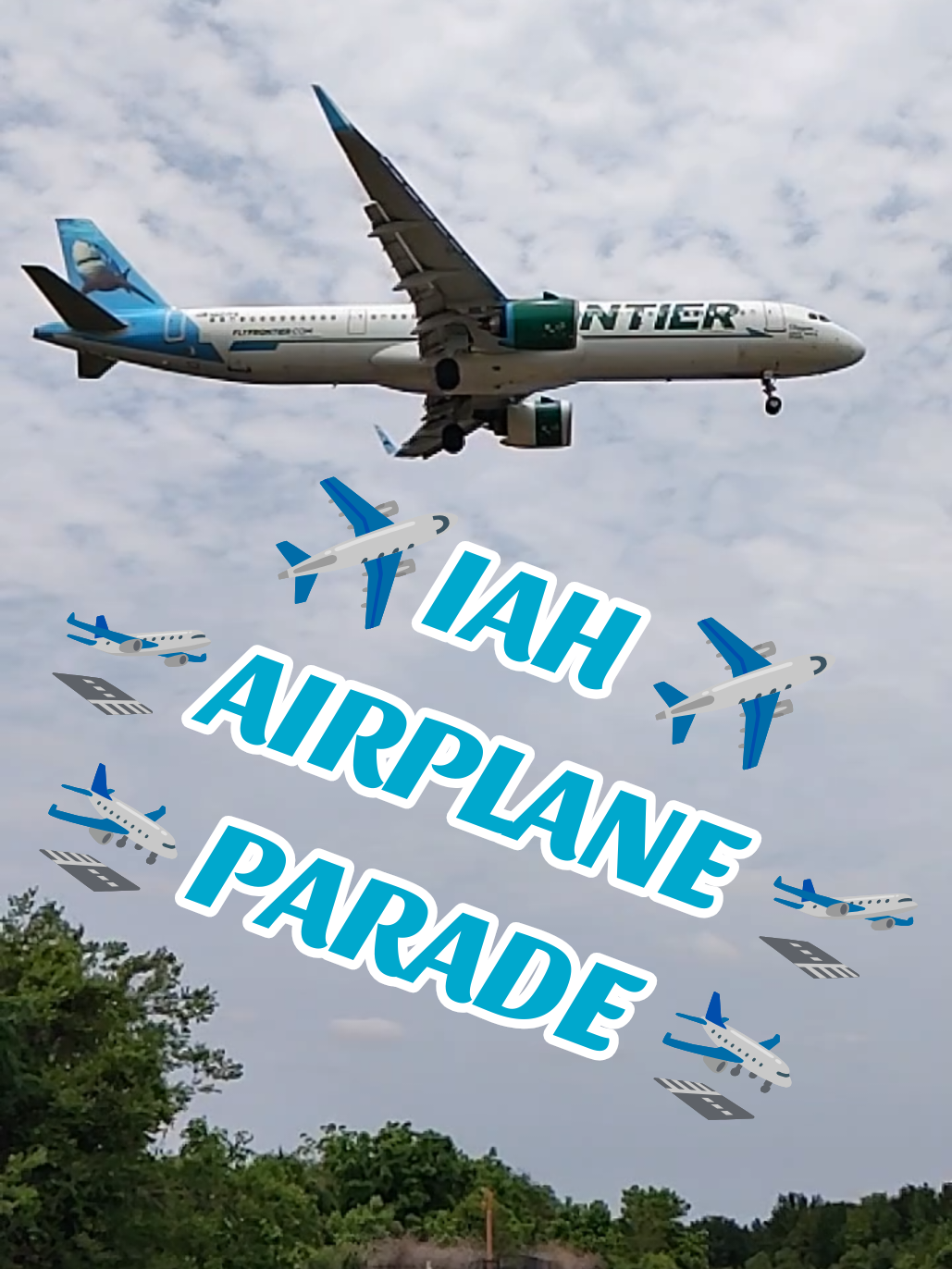 @Neo_Wings