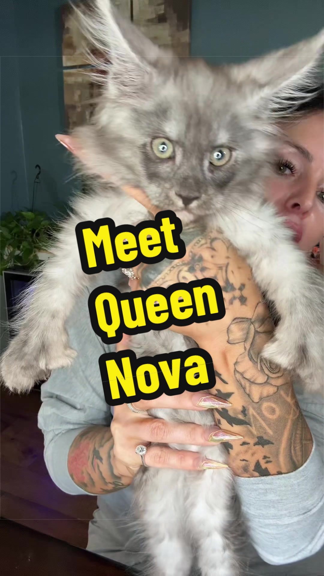 @To0thlessQueen💋
