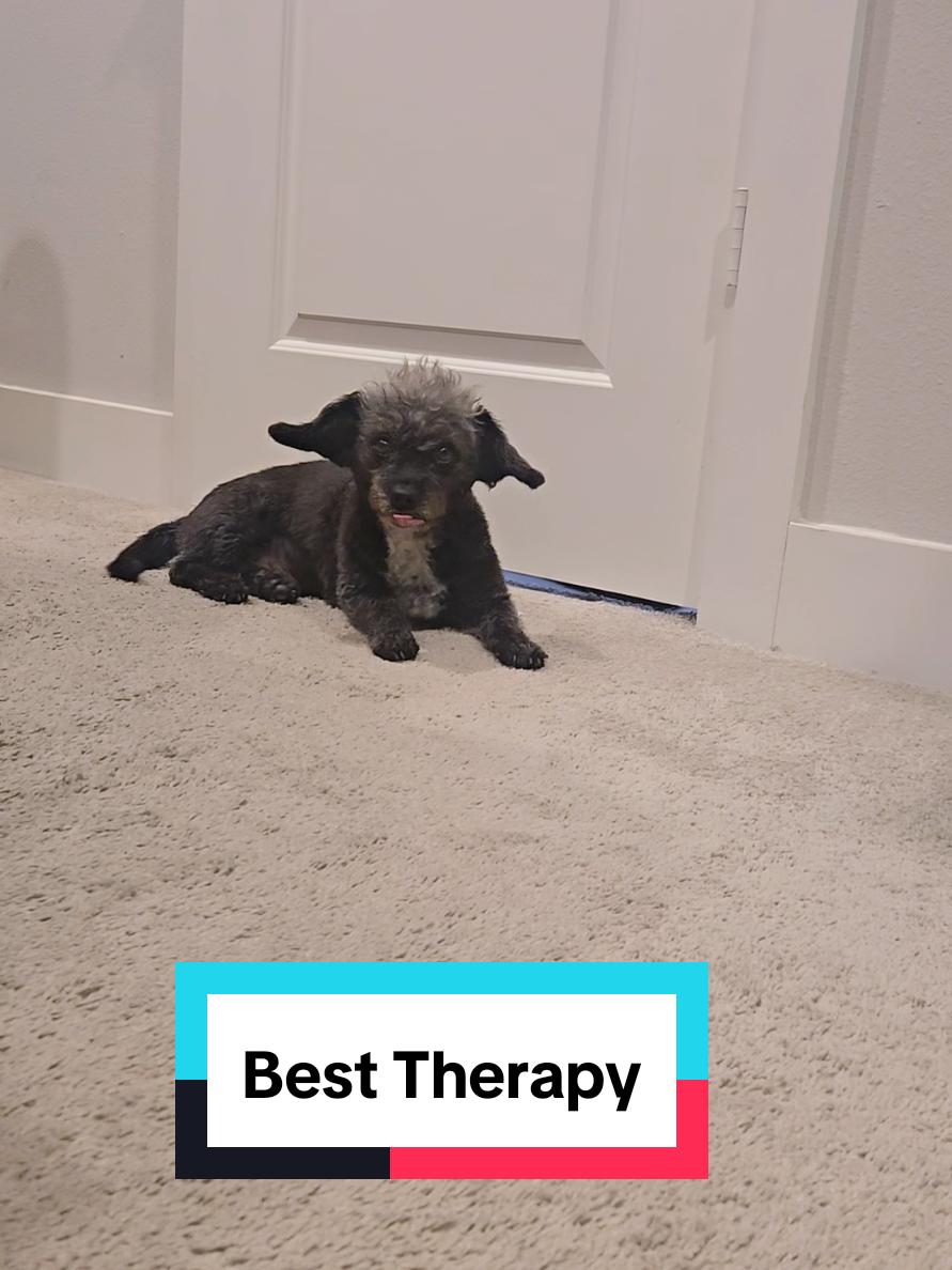 @Koda the Canine Yoda