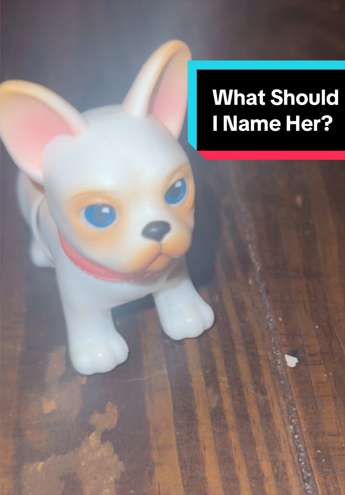 @Treshon's Toy section