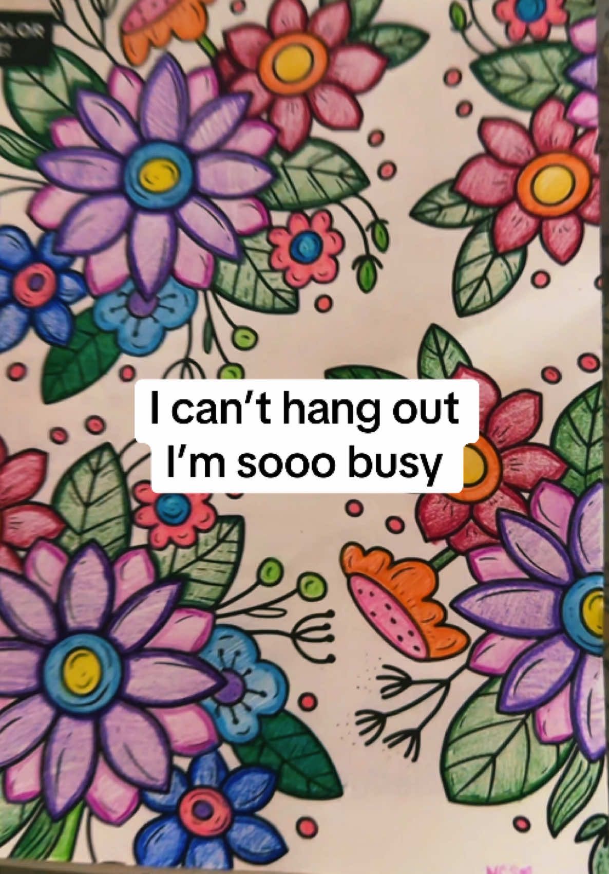 @noesanico