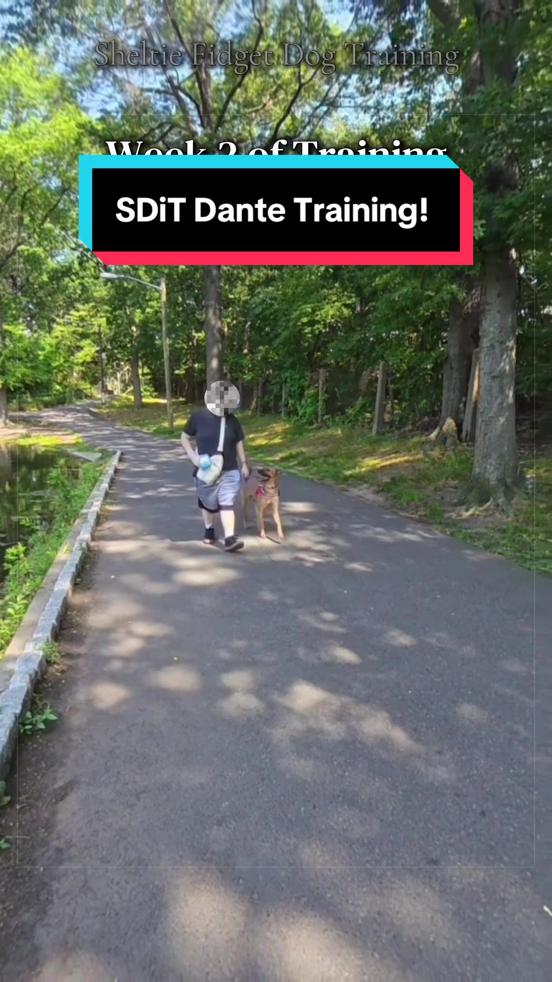 @Dakota & Pups