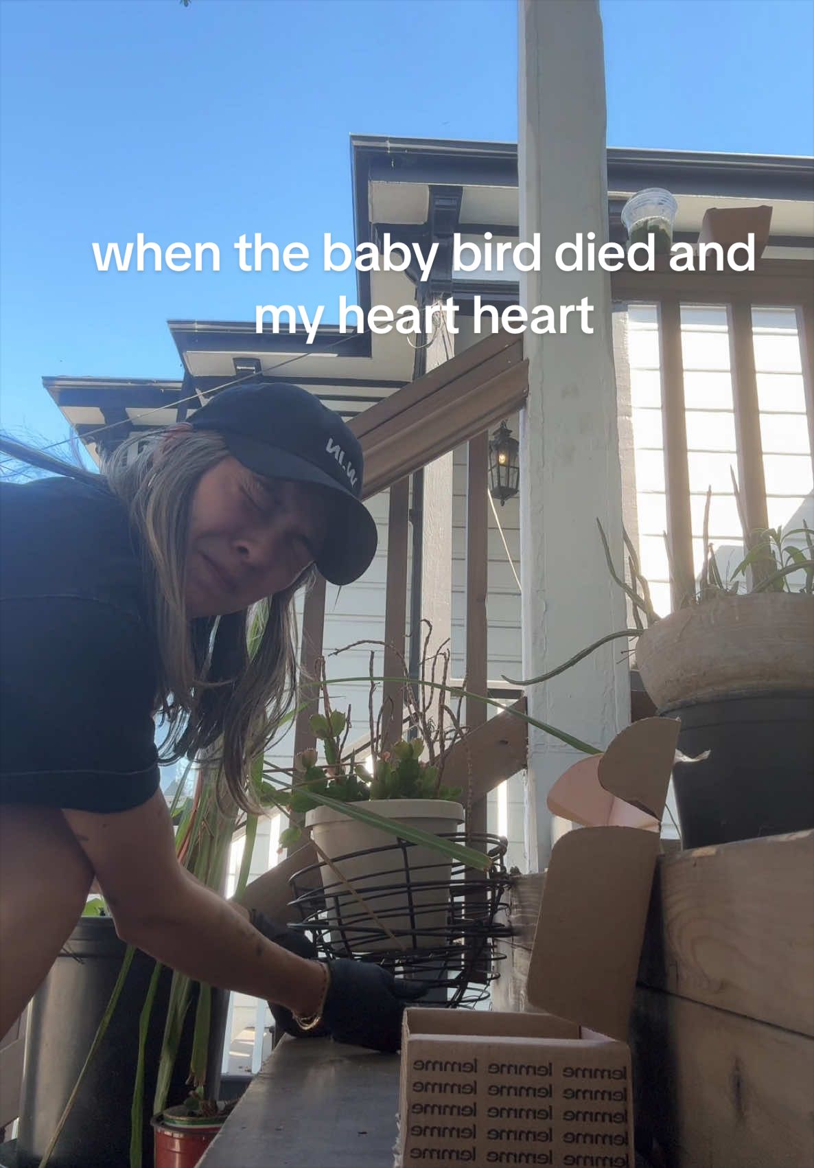 @hyphyhealing
