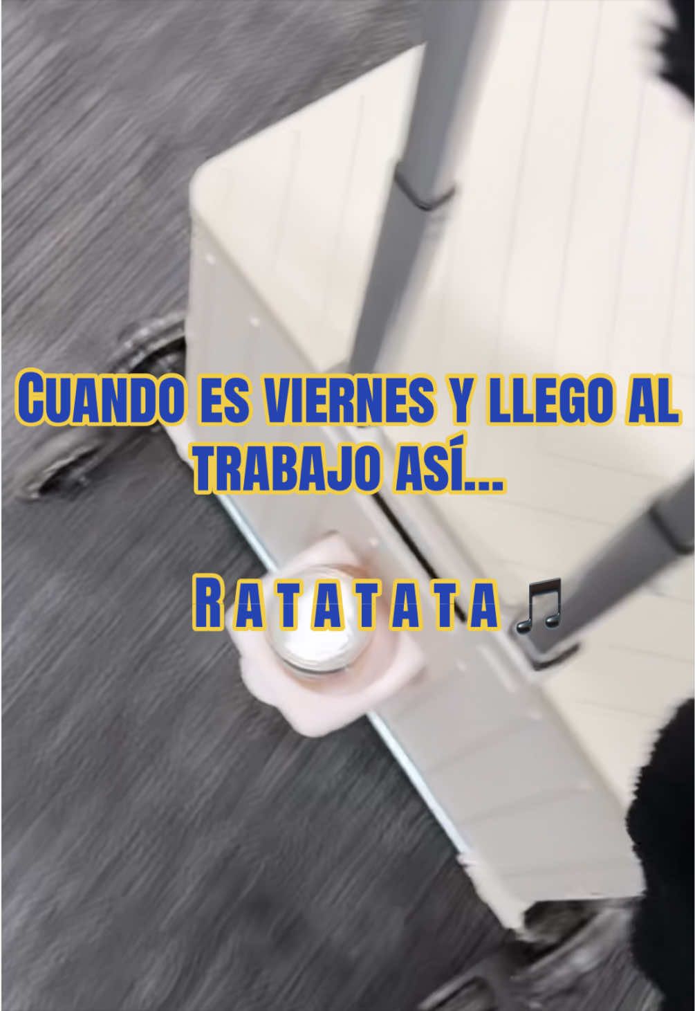 @Lareynahermosa_