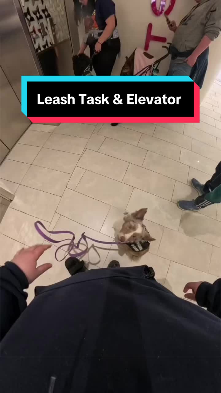@Dakota & Pups