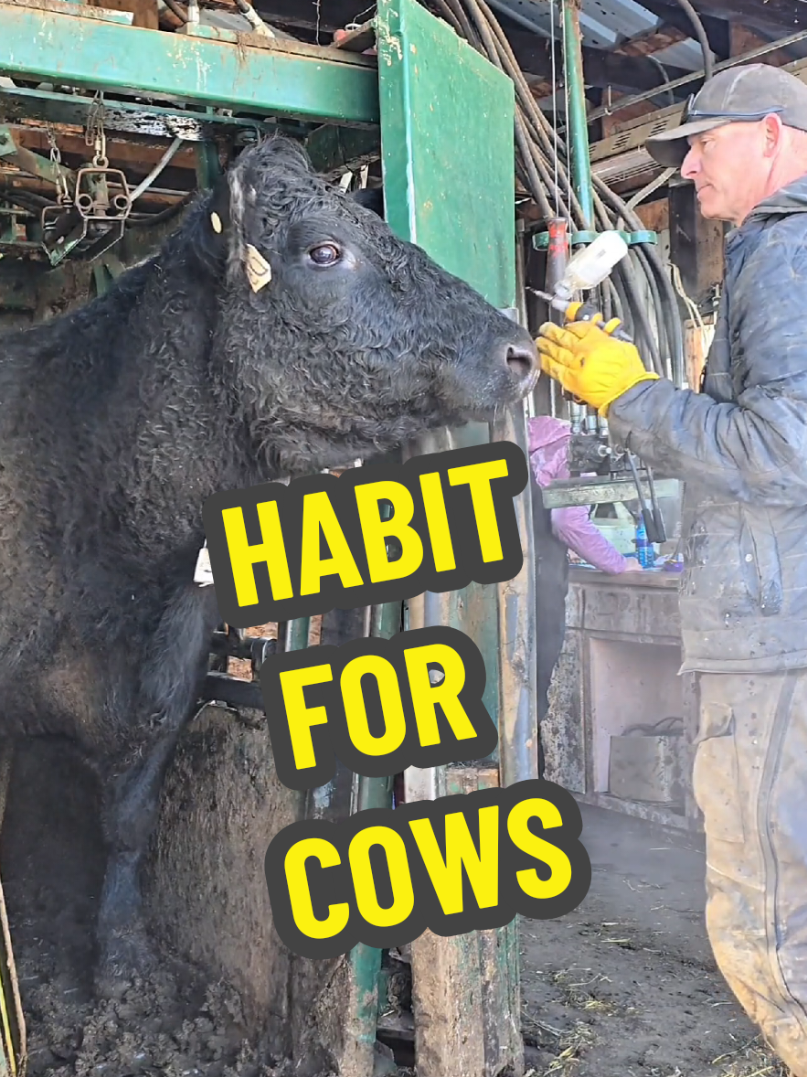 @1HANDNFARMING 🦾🌾🐂🚜