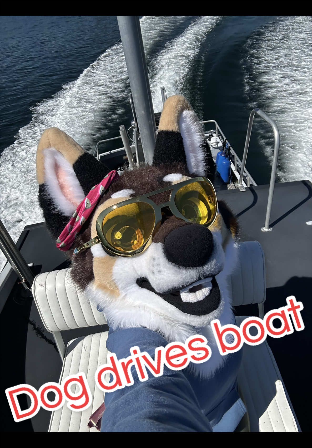 @Kodiak