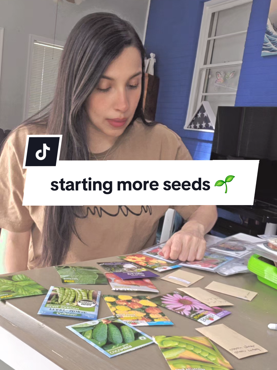 @Seed To Bloom