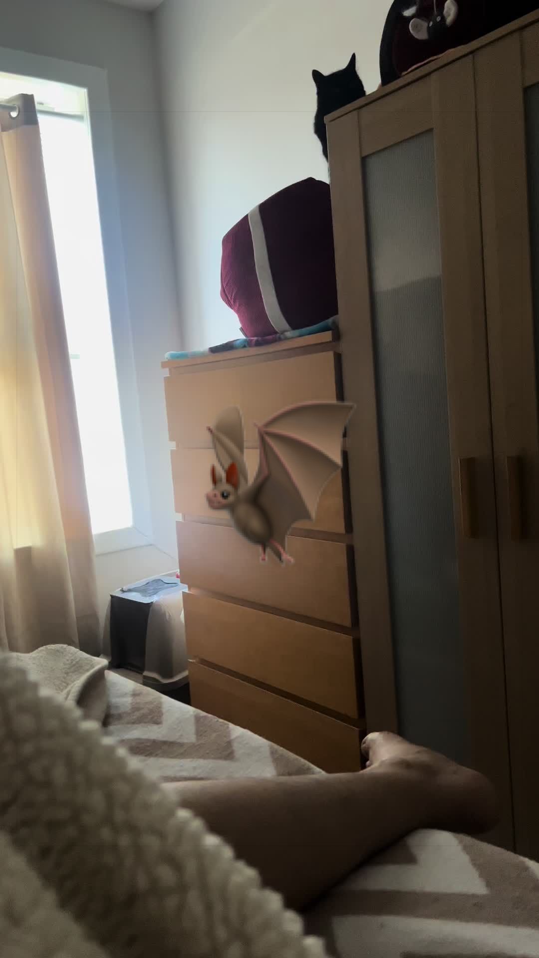 @🦖 MEOWassic CAT😺