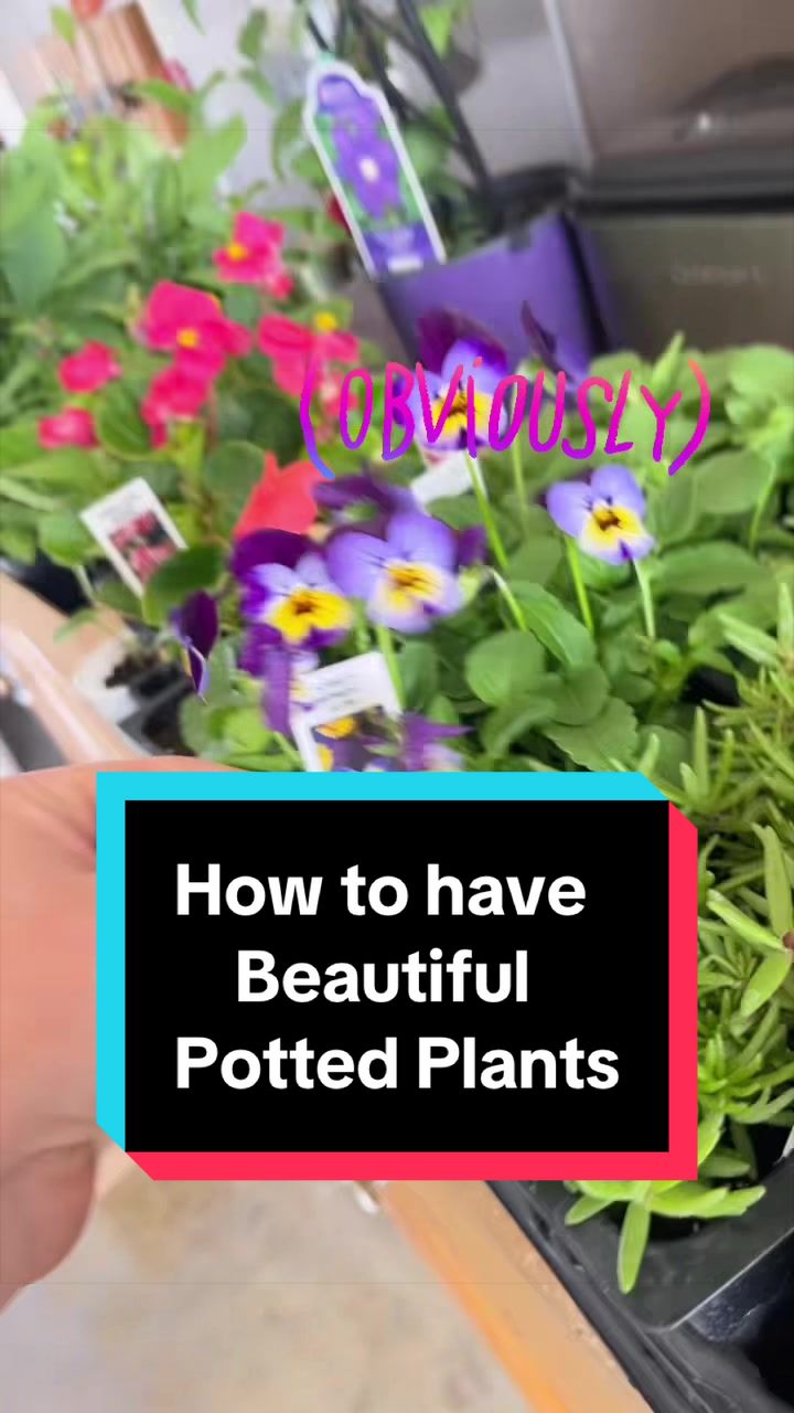 @🌱 Grow with Jo