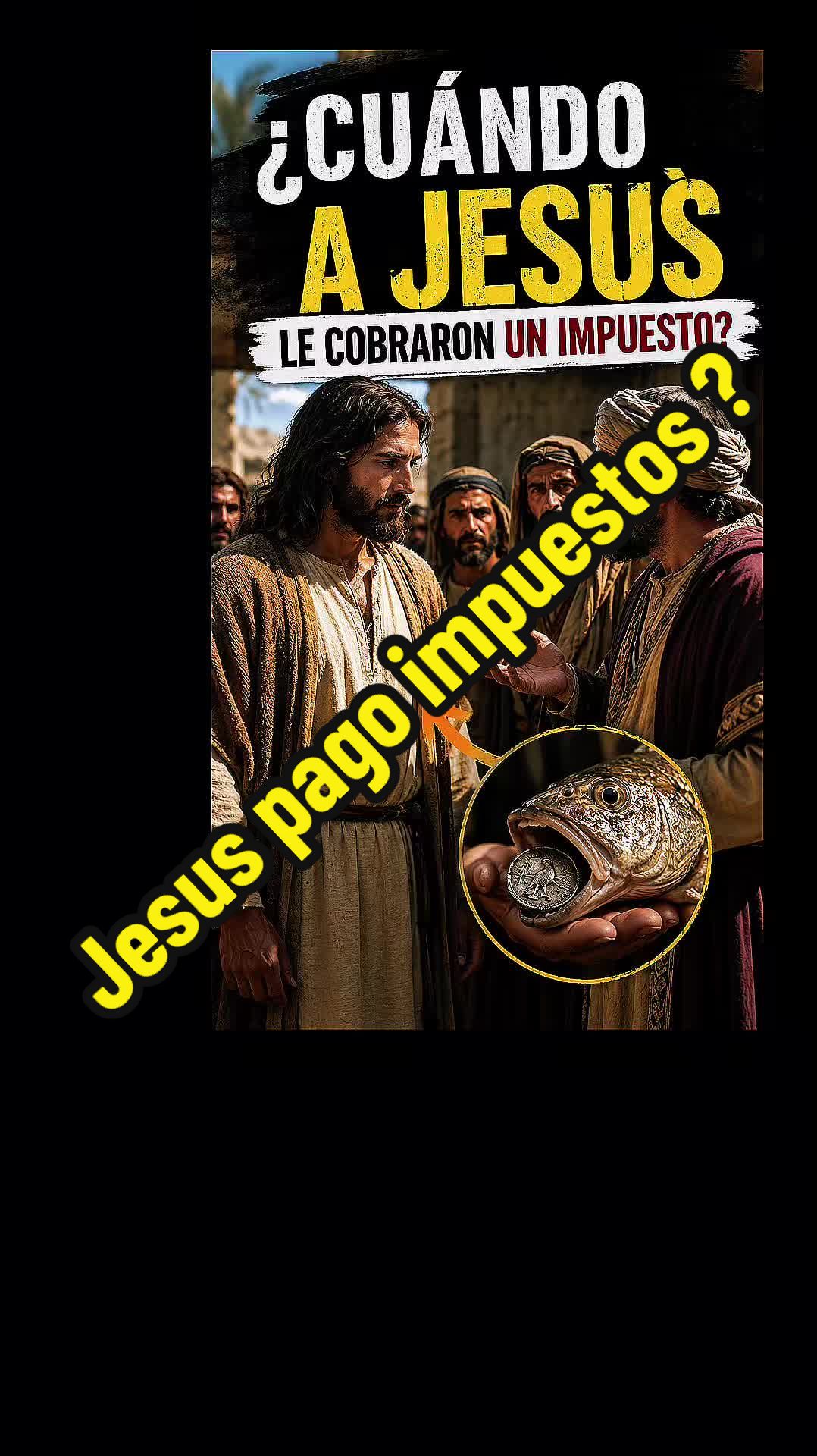 @detodounpoco11