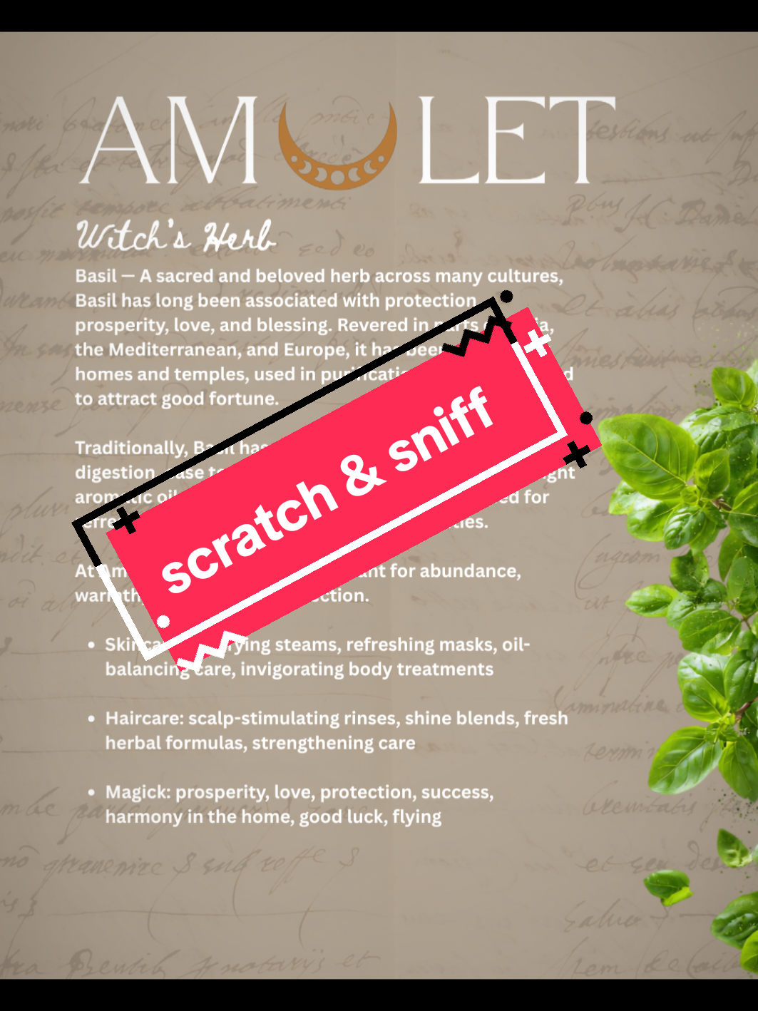 @Amulet