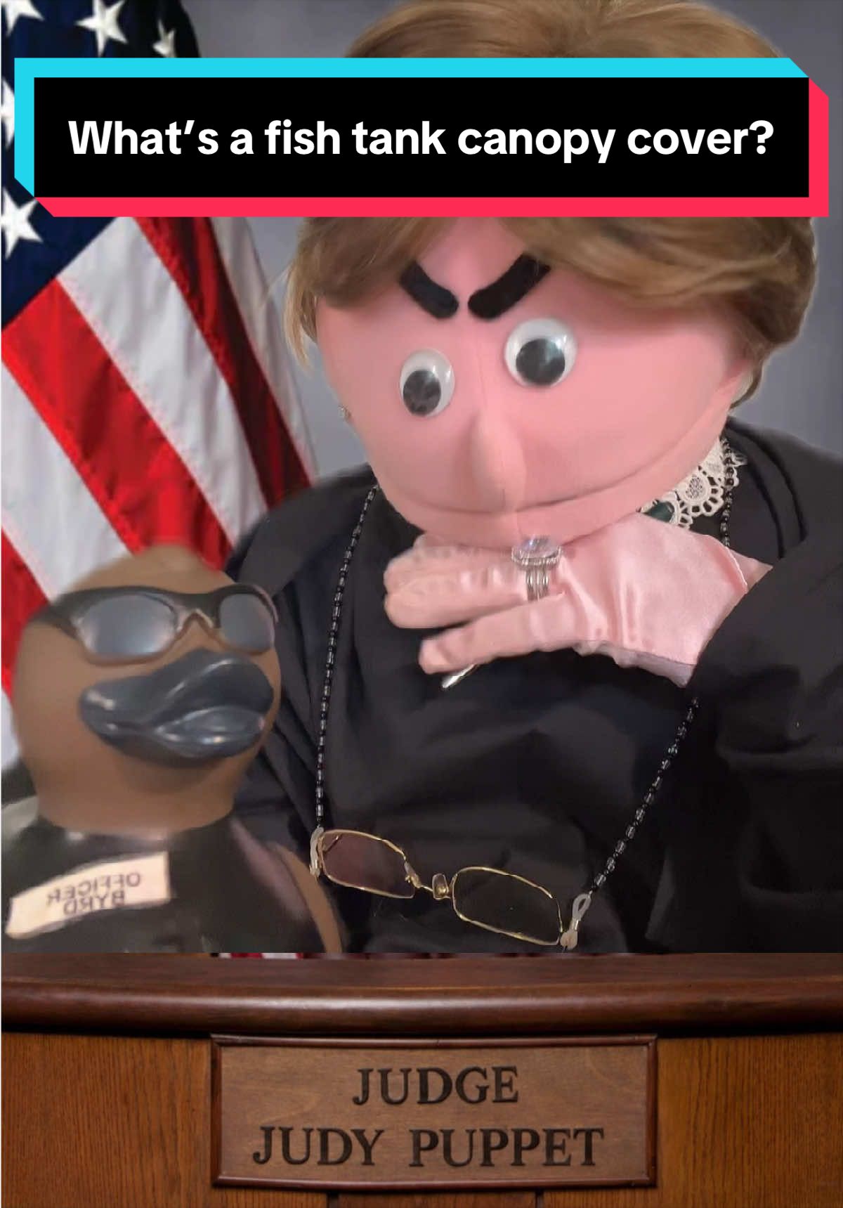 @Judy the Judgey Puppet Show