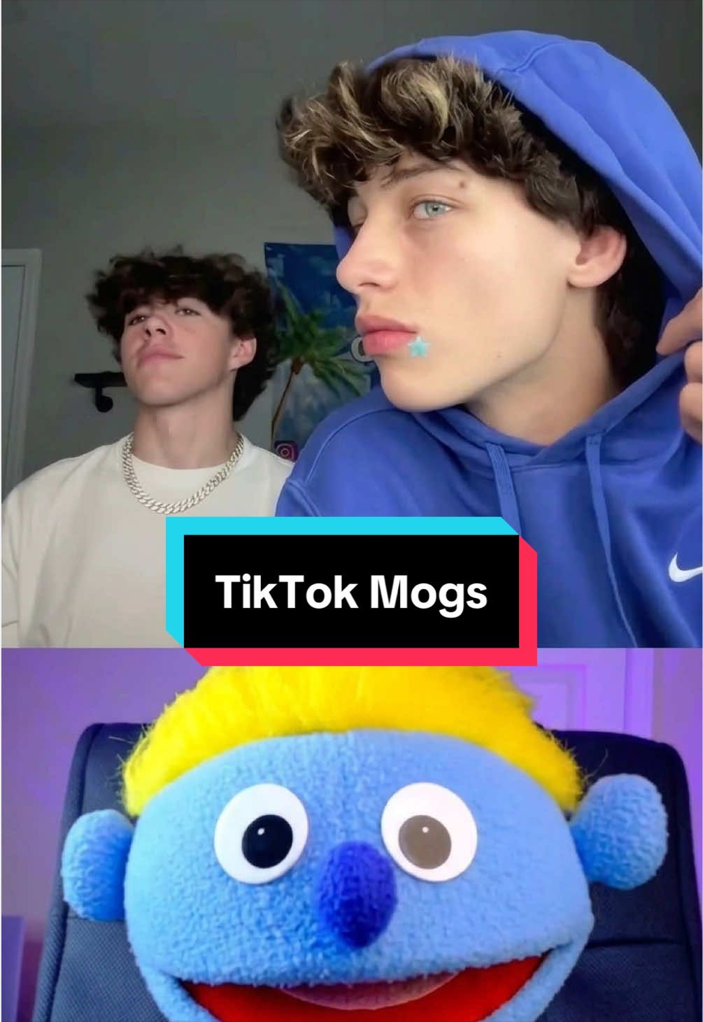 @PeterPrankster